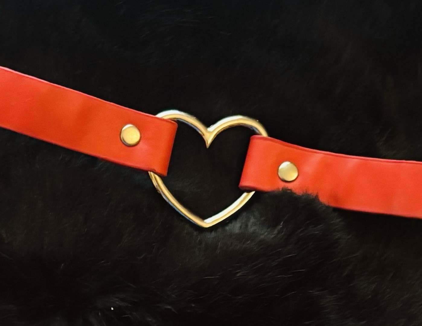 Red Heart Buckle Adjustable Women’s Waist Belt with Gold Rivets