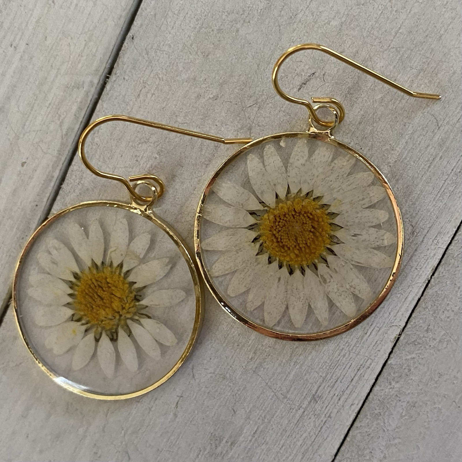 Min Favorit Pressed Daisy Flower Glass Pendant & Gold Pl Artisan Drop Earrings