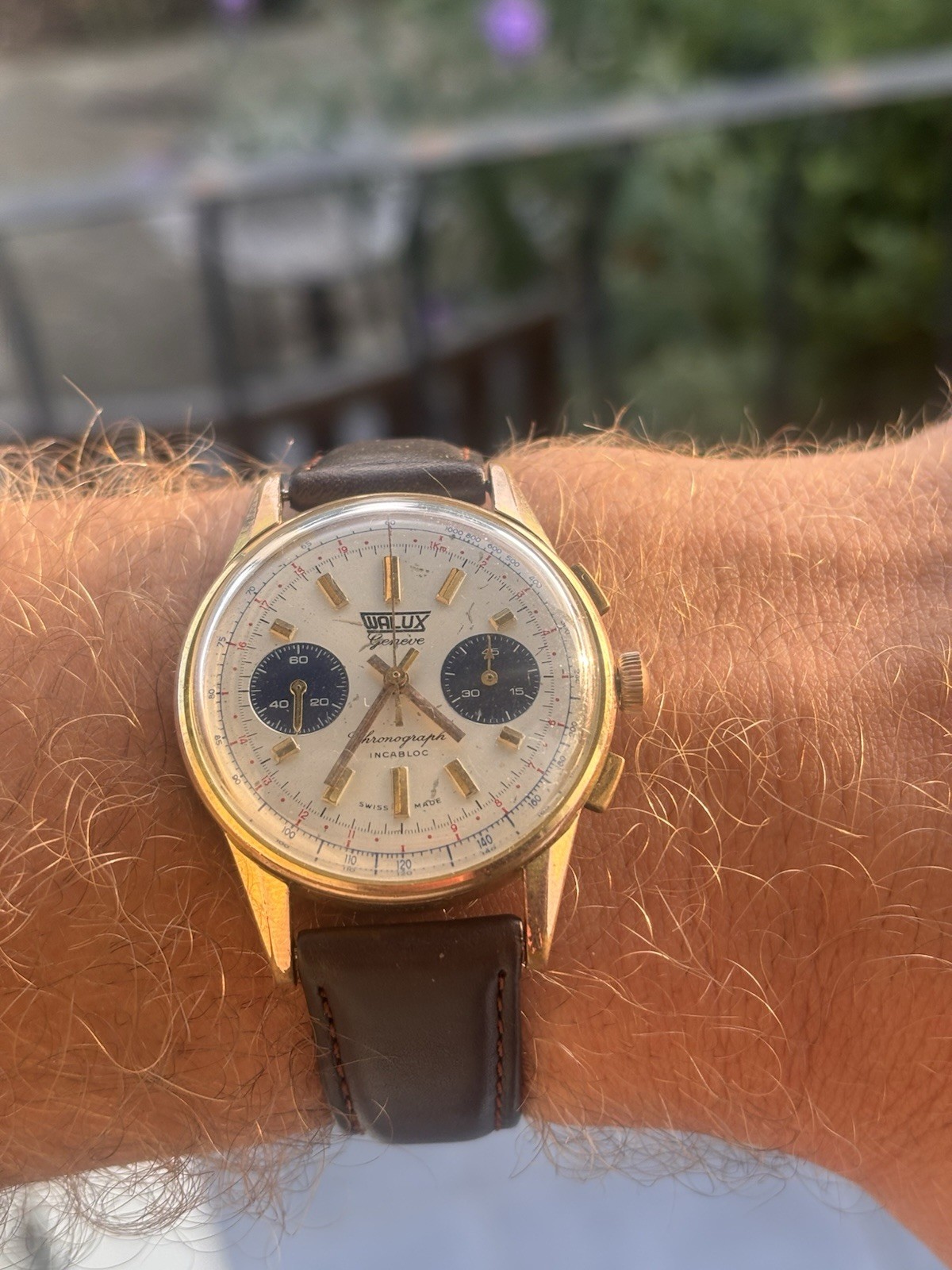 Fully Serviced! 1960s Vintage Valjoux 7733 Chronograph, Walux Geneve, Panda