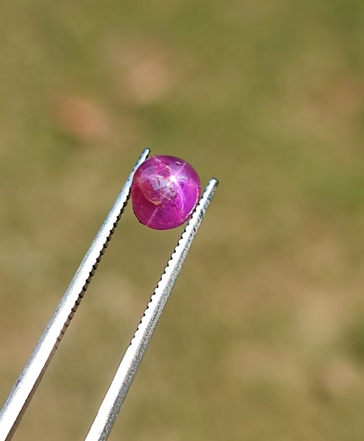 Natural Pink Star Sapphire 1.45ct HOT Pink Ruby Red | 6-Ray | Unheated Ceylon
