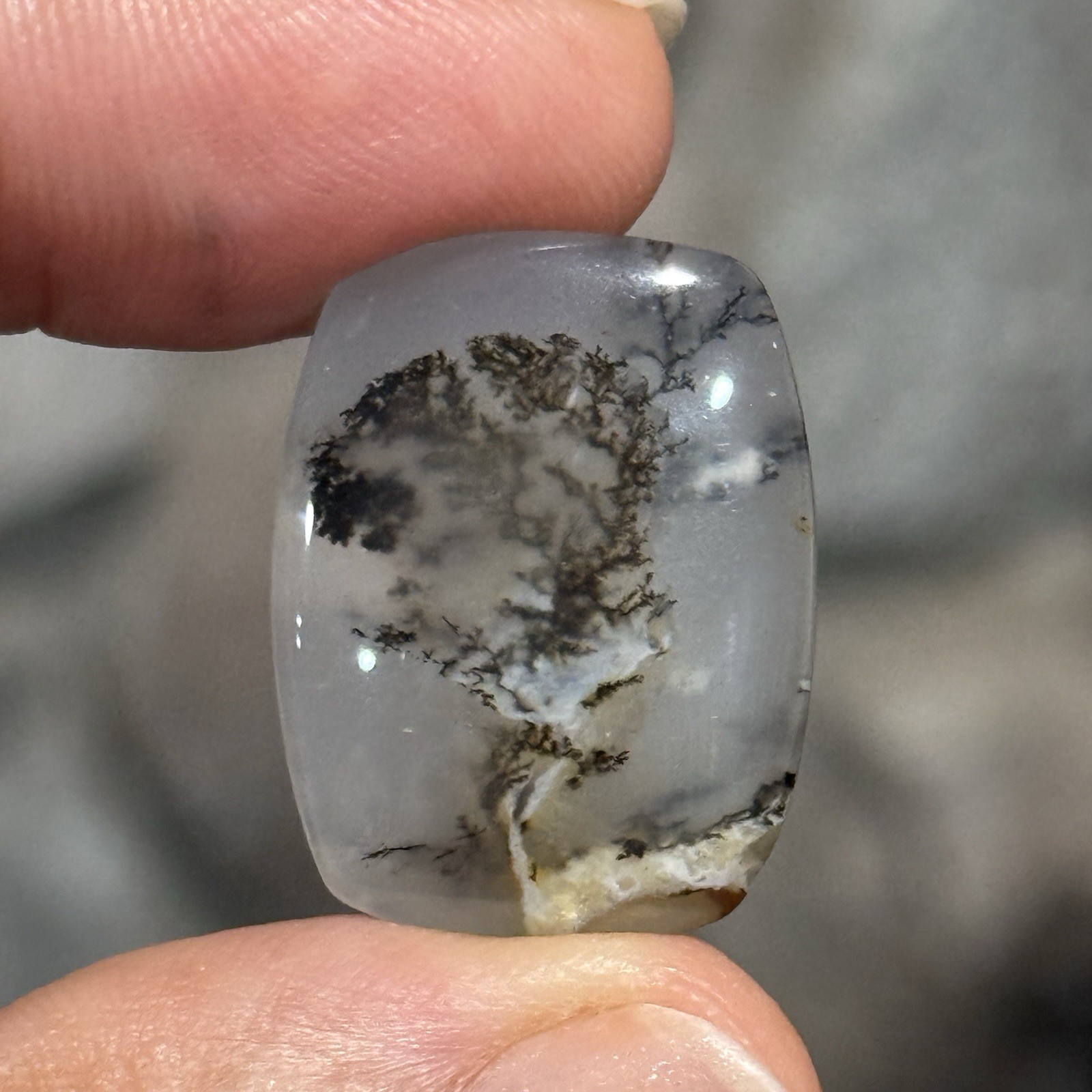 22ct 24.3×18.5x6mm Fine Rectangle Dendrite Opal Cabochon Loose Picture Stone