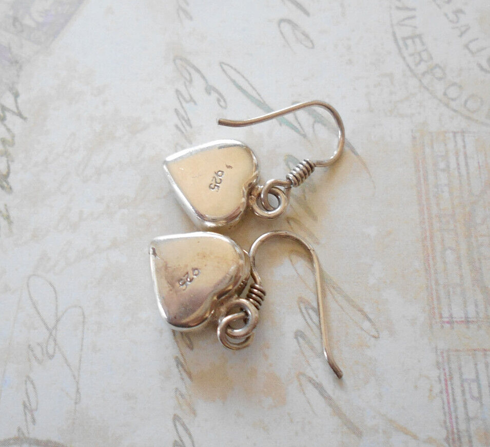 Charming Sterling Silver Dried Flowers in Resin Earrings 30Z50-8