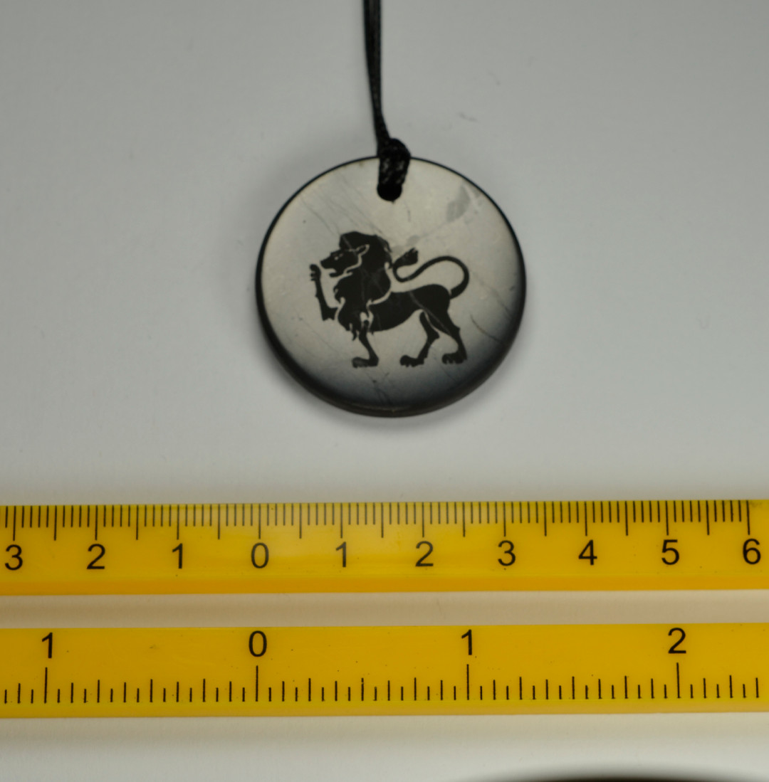 Shungite Emf Protection Necklace EMF Jewelry Pendant Zodiac Leo Image
