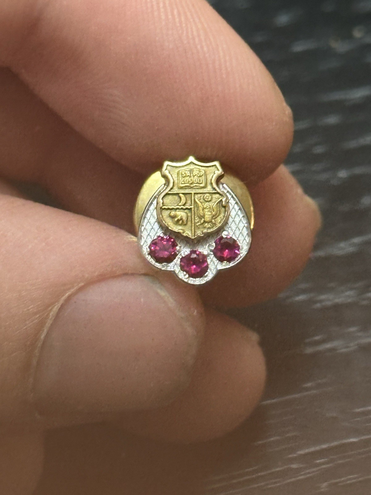 1/5 10k Gold Small Ruby Pin