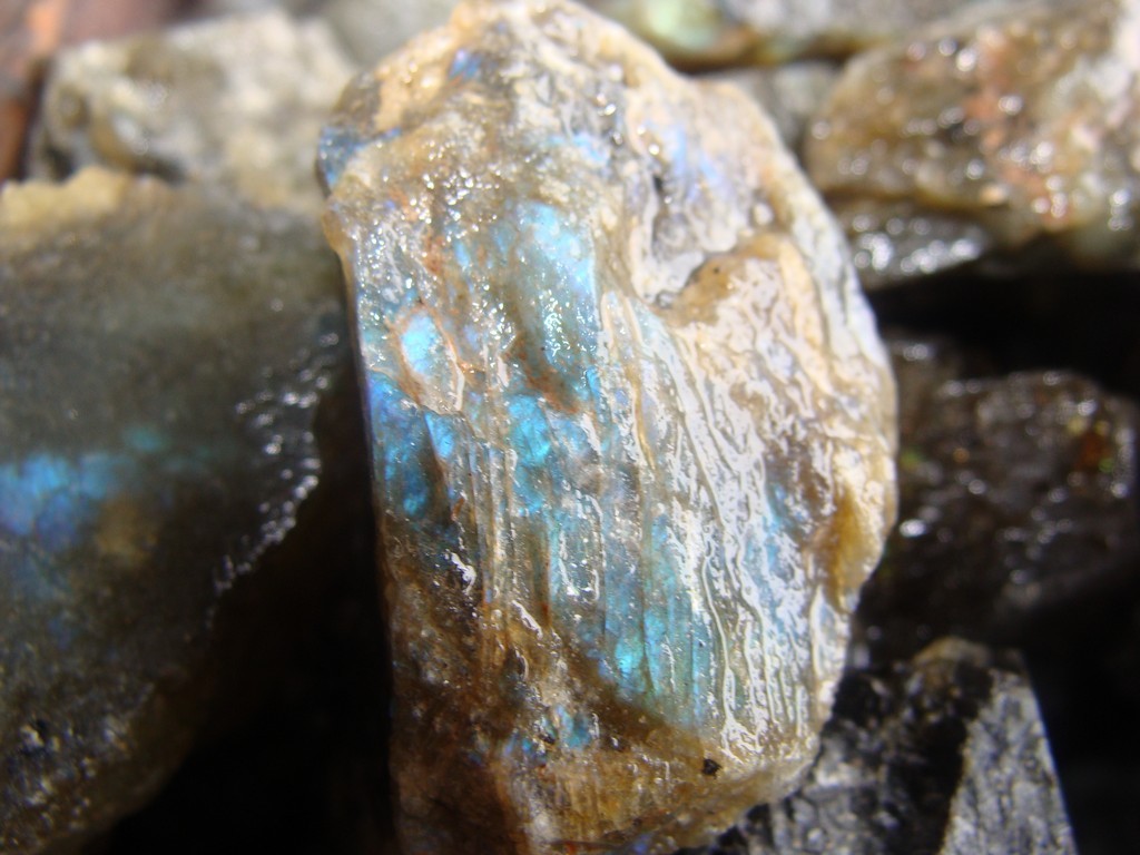 500 Carat Lots of Unsearched Natural Labradorite Rough + a FREE faceted Gemstone