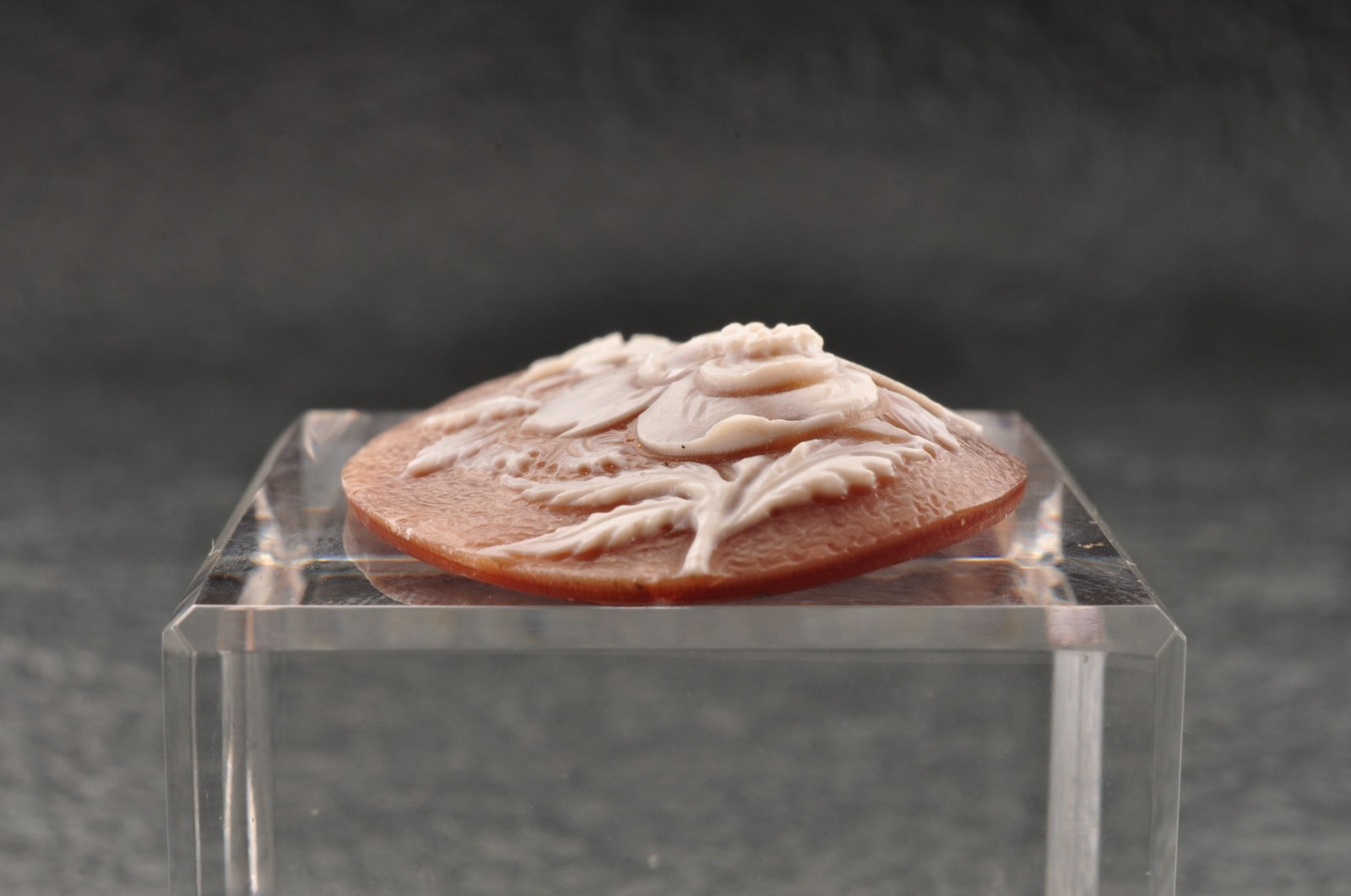 Vintage oval shape Sardonyx shell cameo, carved “Lily motif” (total 25.0ct).