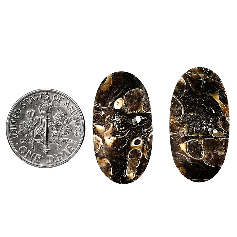 Natural Turtella Jasper Pair 13.5×25.5×4 mm Cushion Polished Gemstone LS70-04147