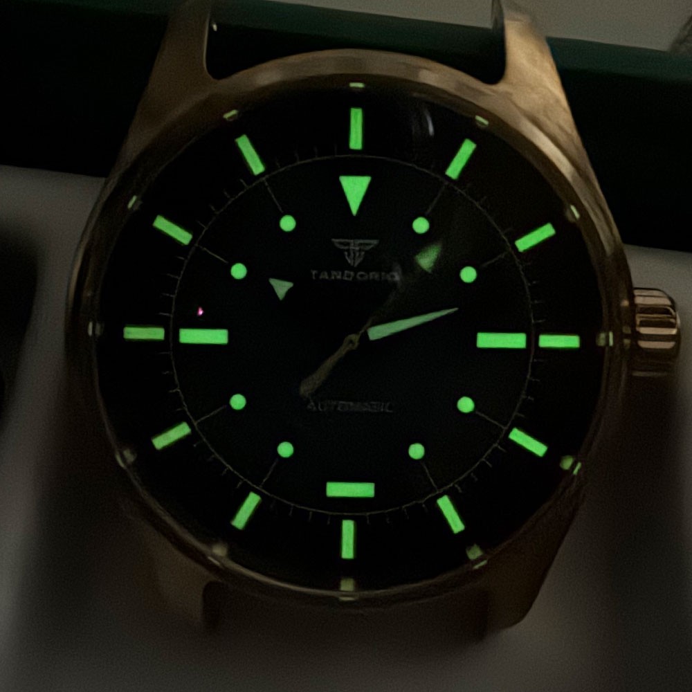 Miyota Titanium Case 40mm Luxury 20ATM Diver Swim Men Mechanical Watch Blue Dial