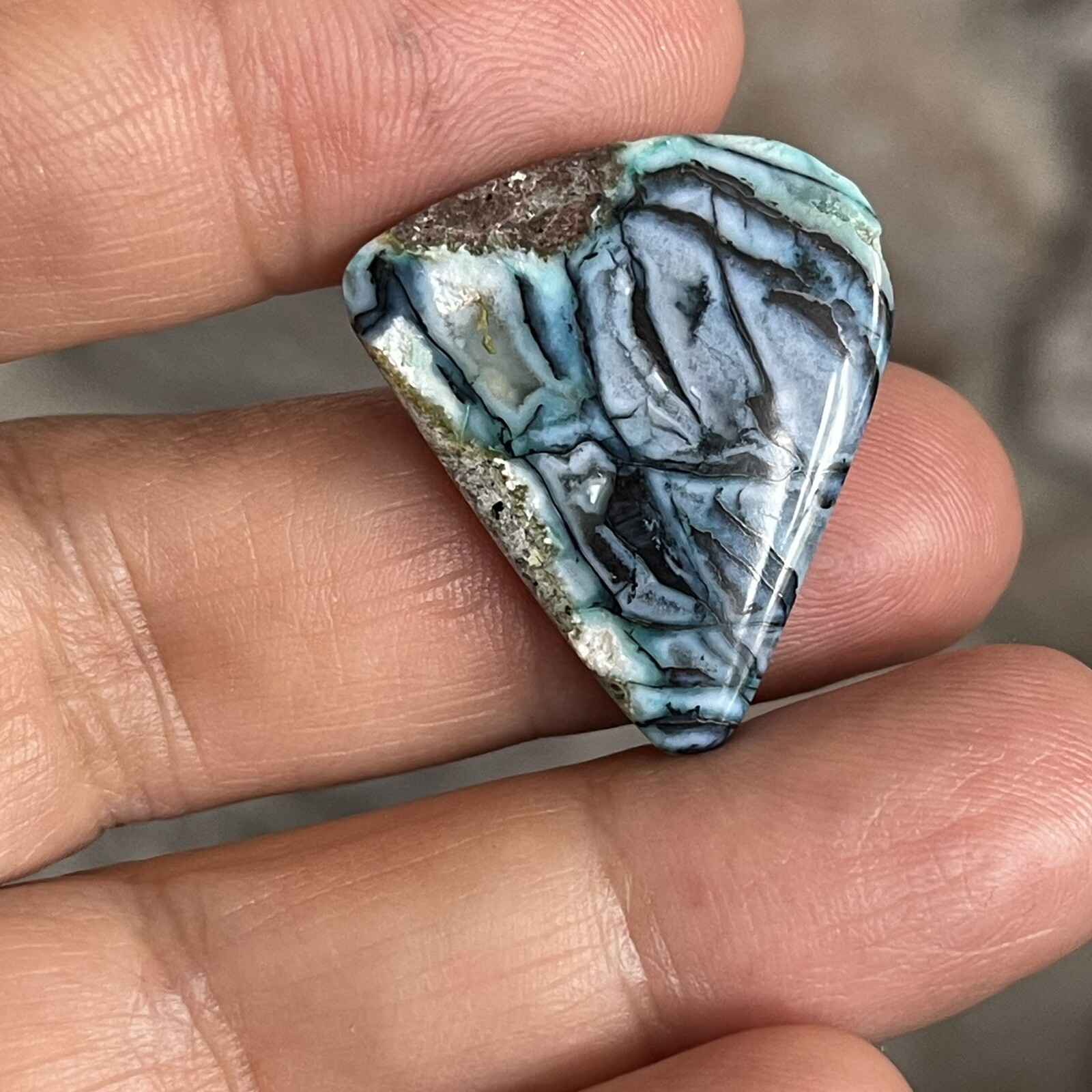 26.5×21.6x5mm Rare Agatized Wood Colorful Chrysocolla Cabochon Picture Stone