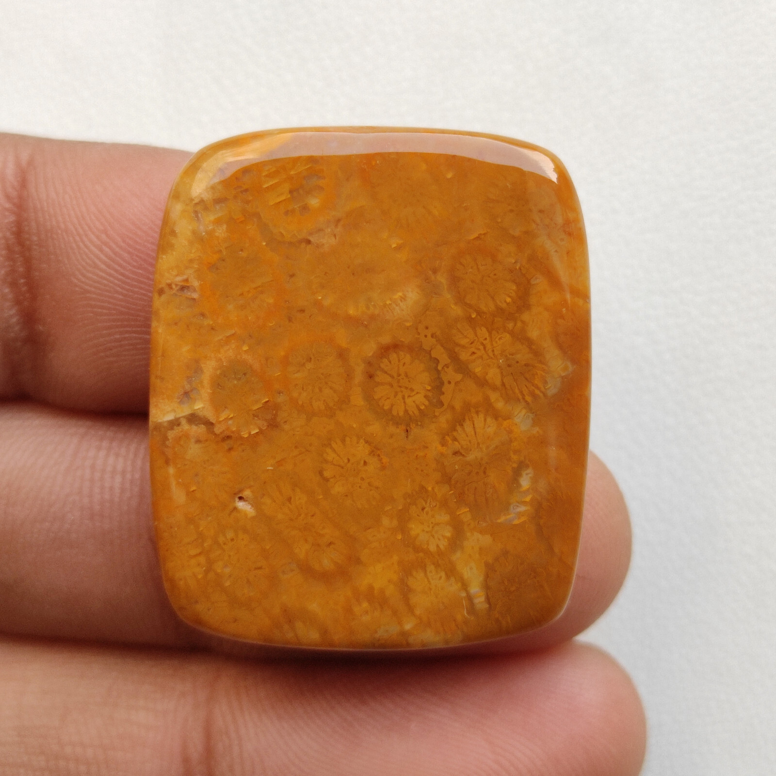 Brown fossil coral flatback cabochon loose fossilized coral handmade stone C5782
