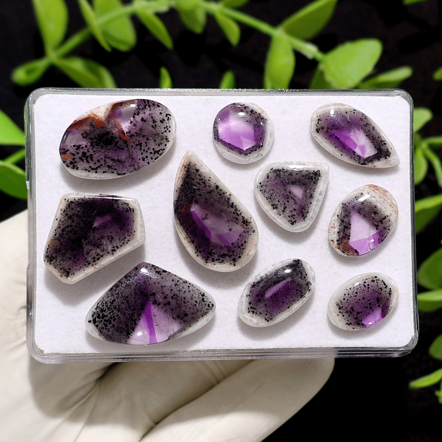 Asteroids In Space~ 10 PC Trapiche Amethyst 13mm-27mm Rare Cosmic Pattern Cabs