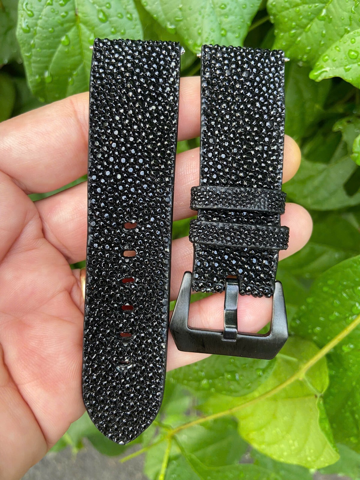 Black Stingray Leather skin Watch Strap Band 12 14 18 19 20 21 22mm 23 24mm 26mm