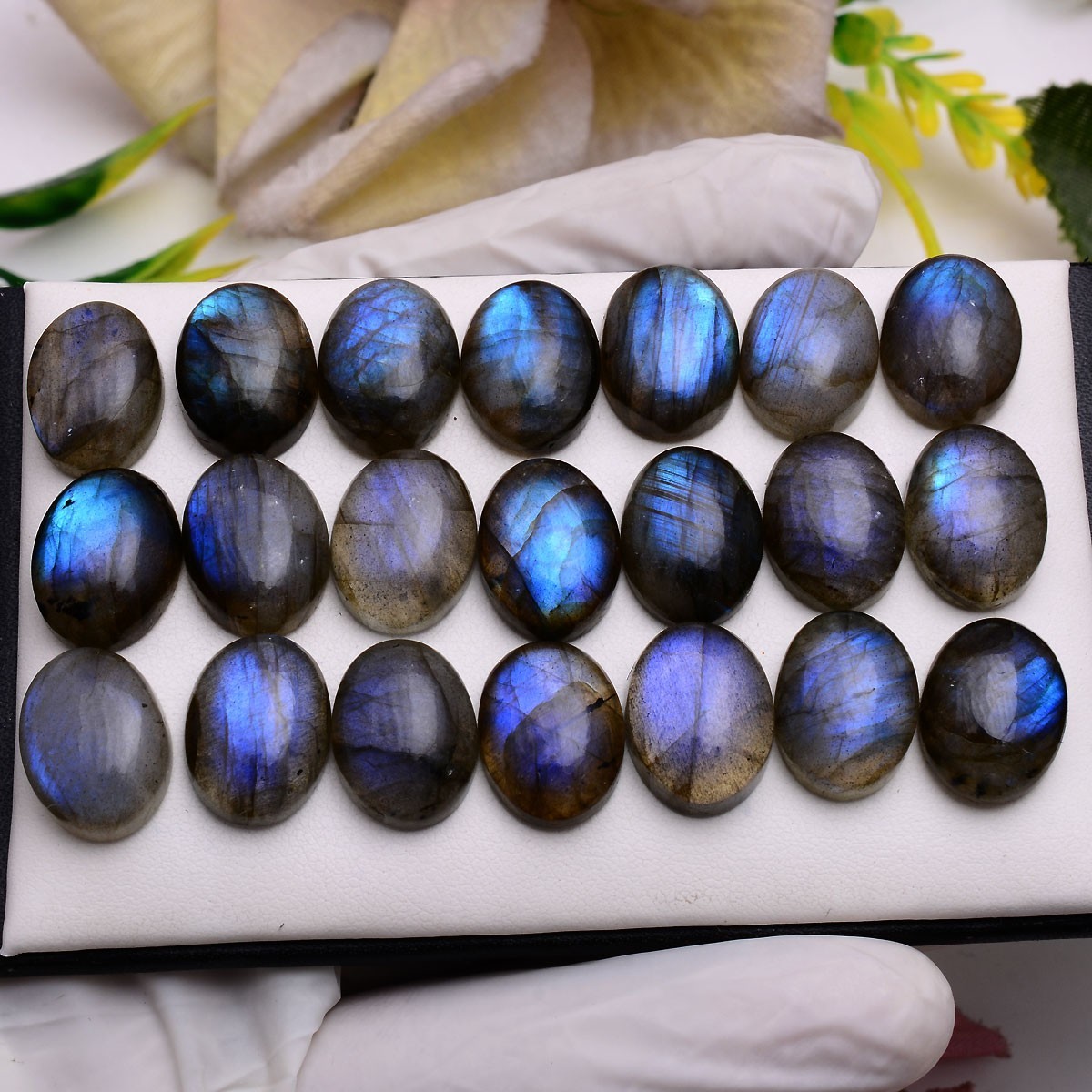 11 Pcs Natural Labradorite Blue Shine 16mmx12mm Oval Cabochon Loose Gemstone Lot