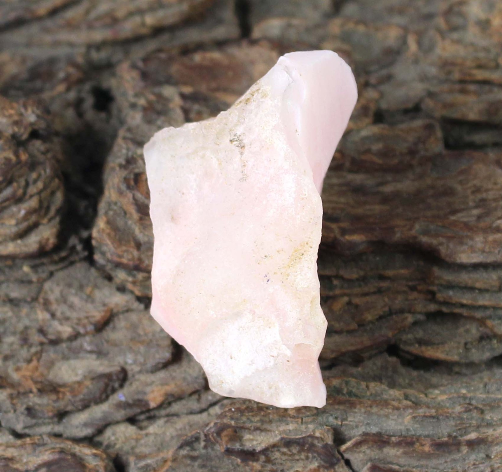 41.25 Carat Certified Natural Peru Pink Opal Thanksgiving Gemstone Rough T33066