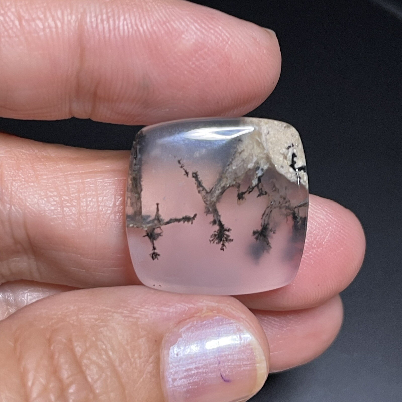 21.3ct 21x21x5.8mm Picture Like Dendrite Agate Smooth Cabochon Collector’s Stone