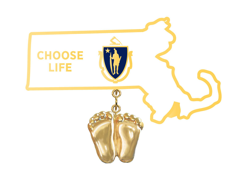Precious Feet, 14K Gold Plated, Massachusettes Flag Jewelry, Lapel Pin