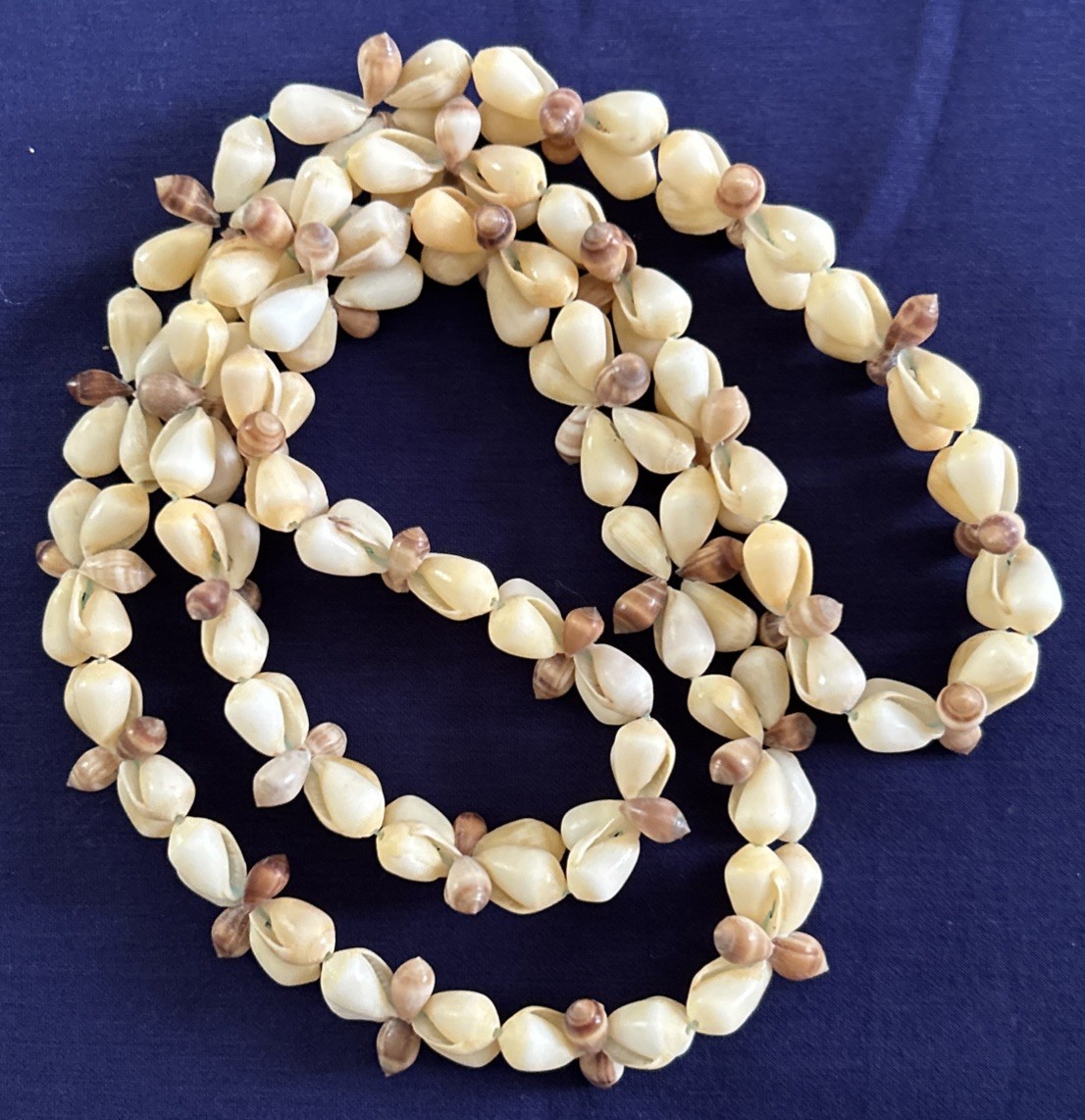 Vintage Cowrie Sea Shell NECKLACE Long Heavy 18” Hawaiian Lei