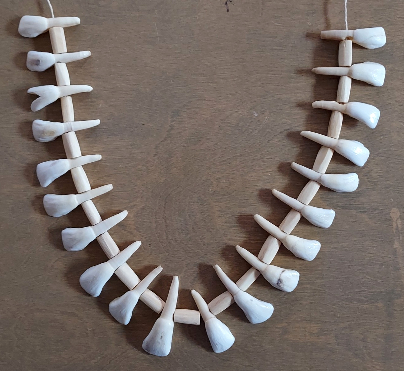 REAL Natural Vintage Tribal Ethnic Necklace Tooth / 20 TEETH + Animal BONES