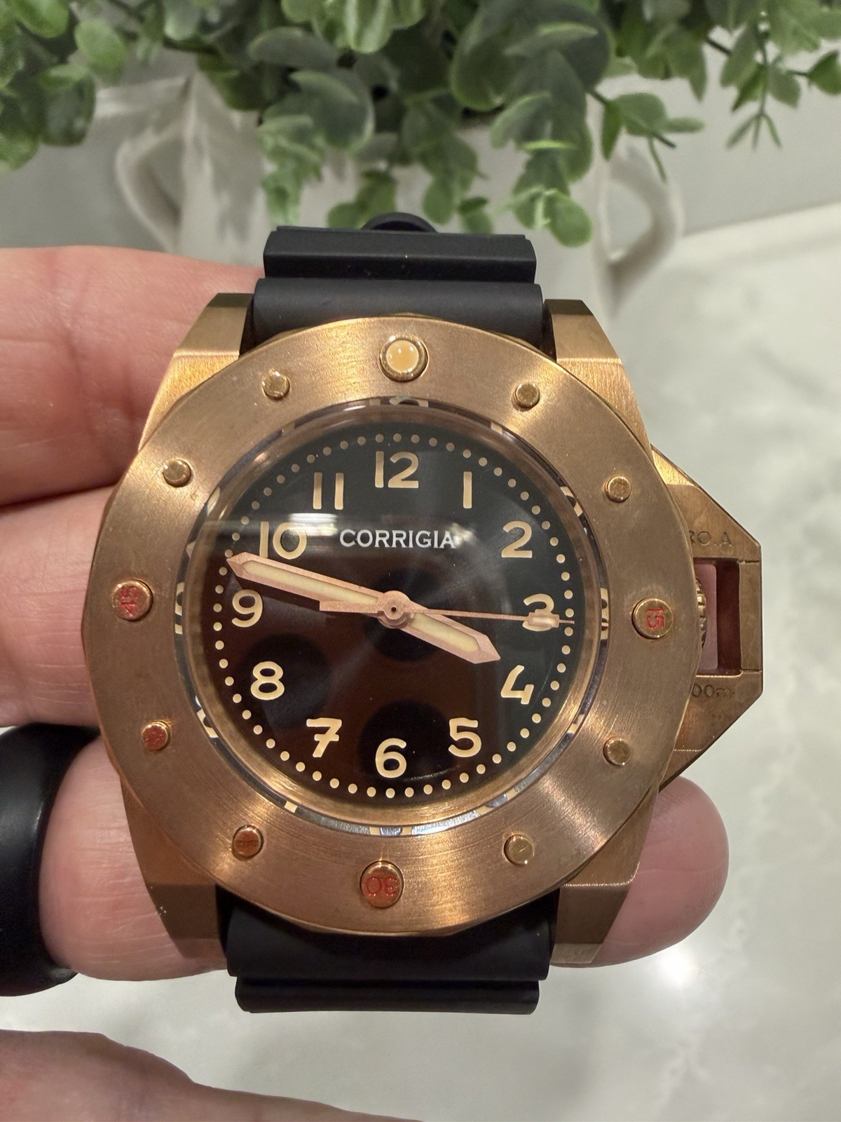 CORRIGIA 01 BRONZE 3000M 48MM MILITARY DIVER LIMITED TO 50 PCS/Extra Strap