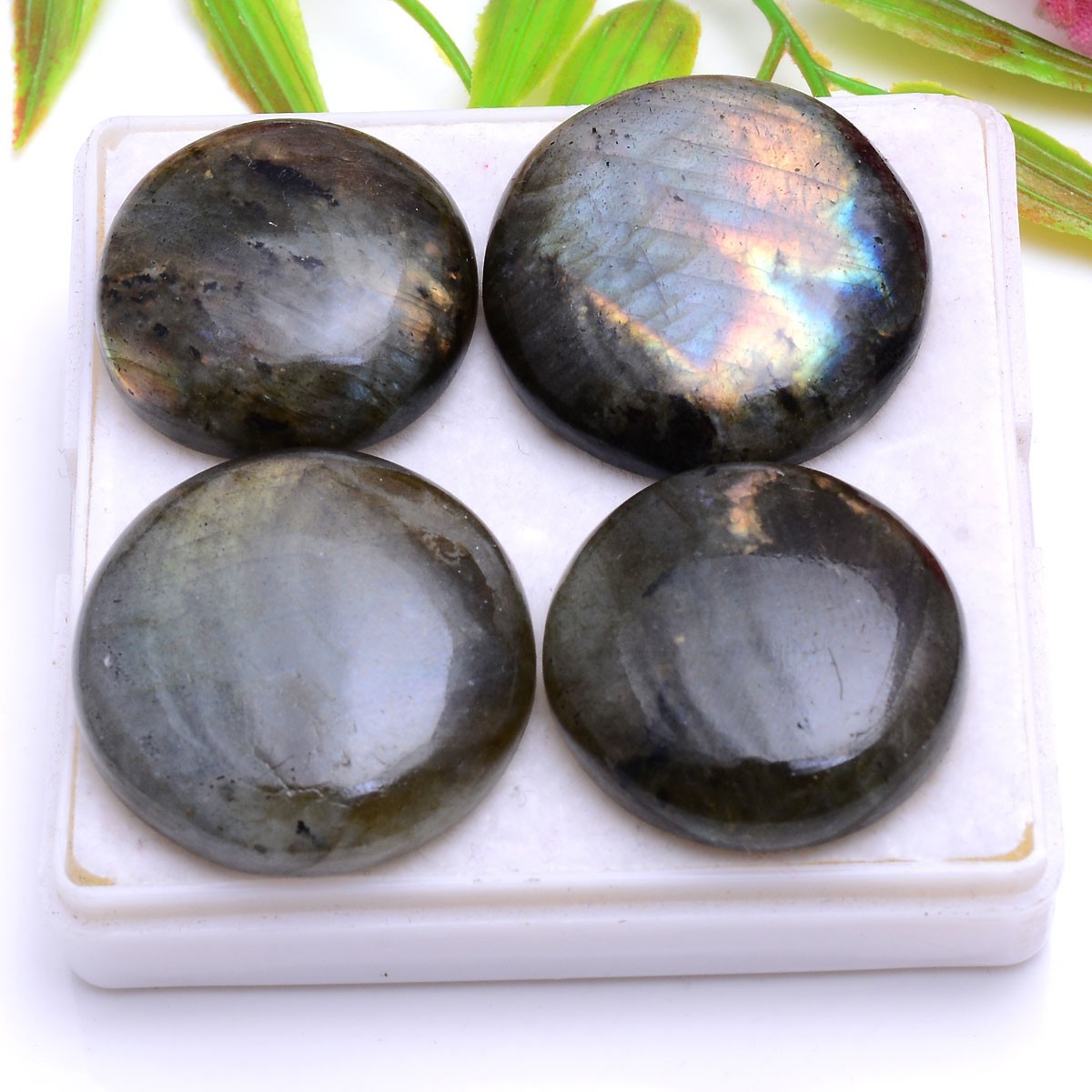 4 Pcs Natural Labradorite Flashy Round Cabochon Glossy Loose Gemstones~25mm-29mm