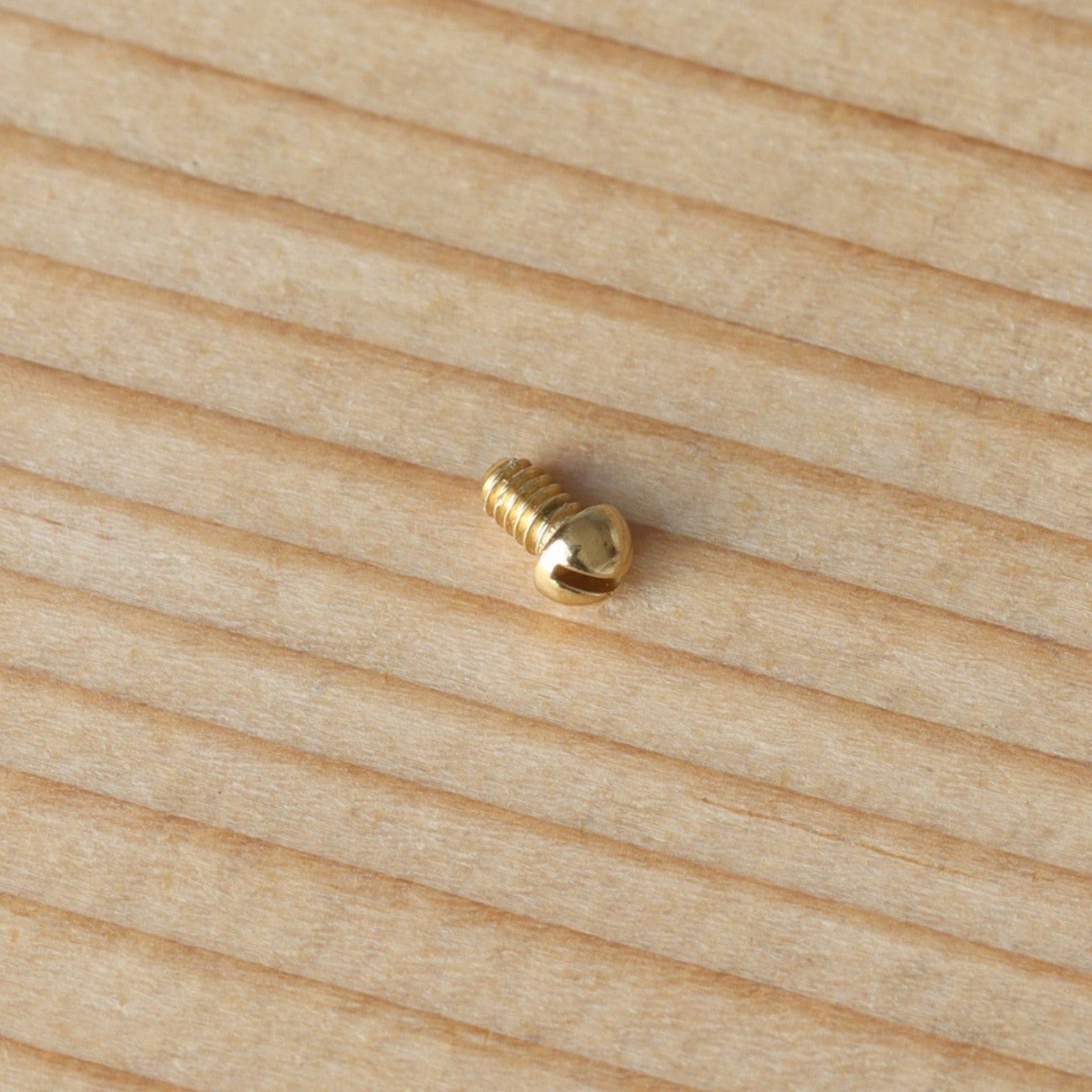 Watch Bezel Screw for Breitling Chronomat B13050/E13360 39mm Watch