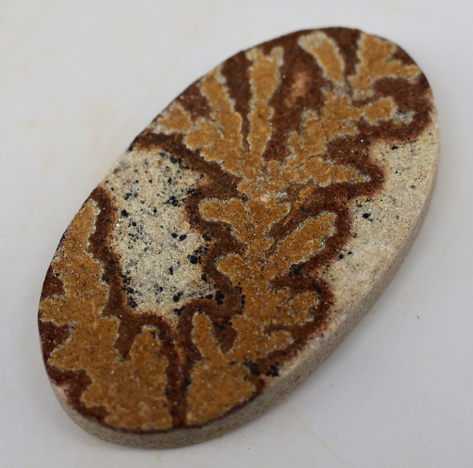 29 Ct 5X19X33 mm Natural Psilomelane Dendrite Oval Cabochon Gemstone PT-172