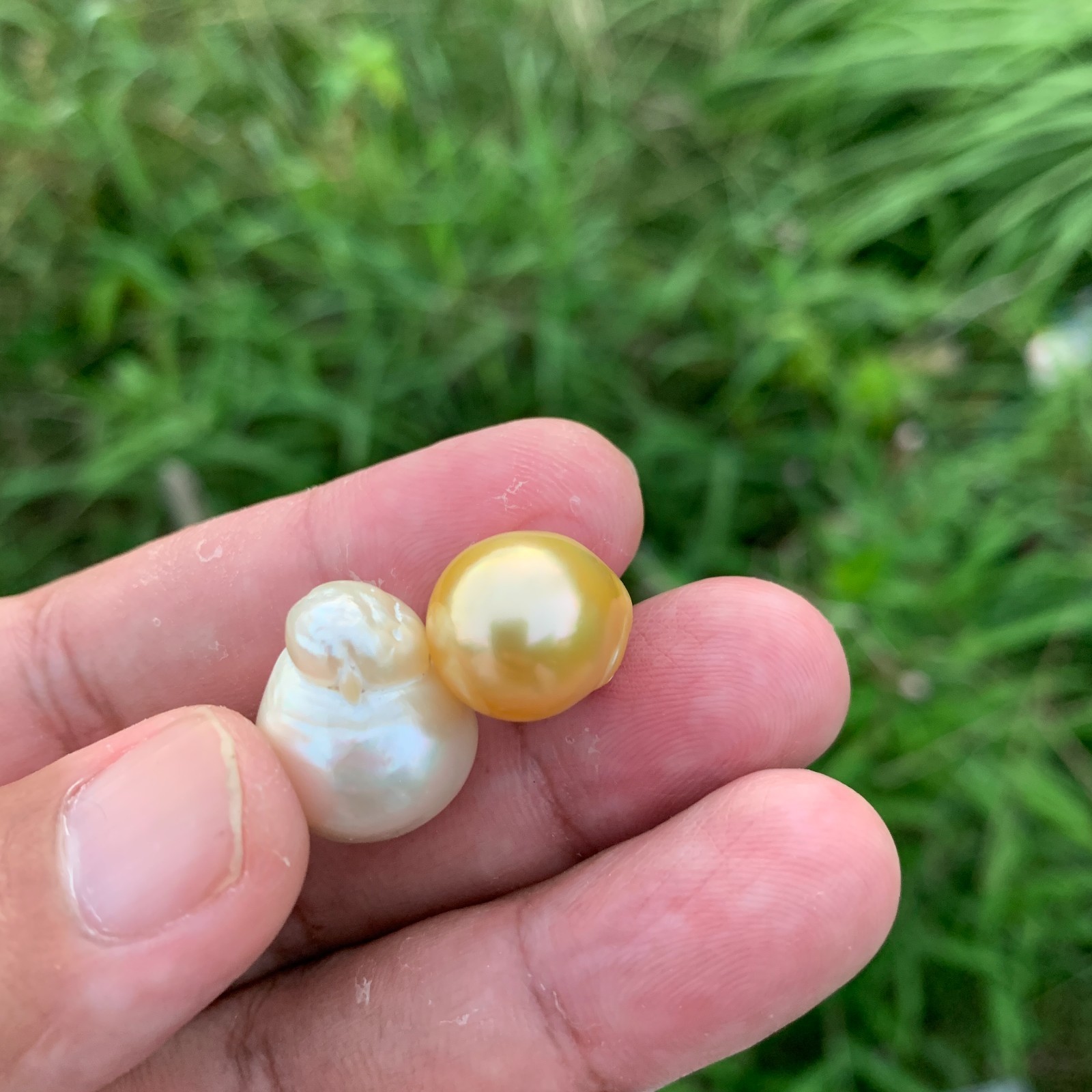 18.1 x 13.4mm Loose Indonesia Saltwater Pearl Big Size Baroque Pearl Beads H10-2