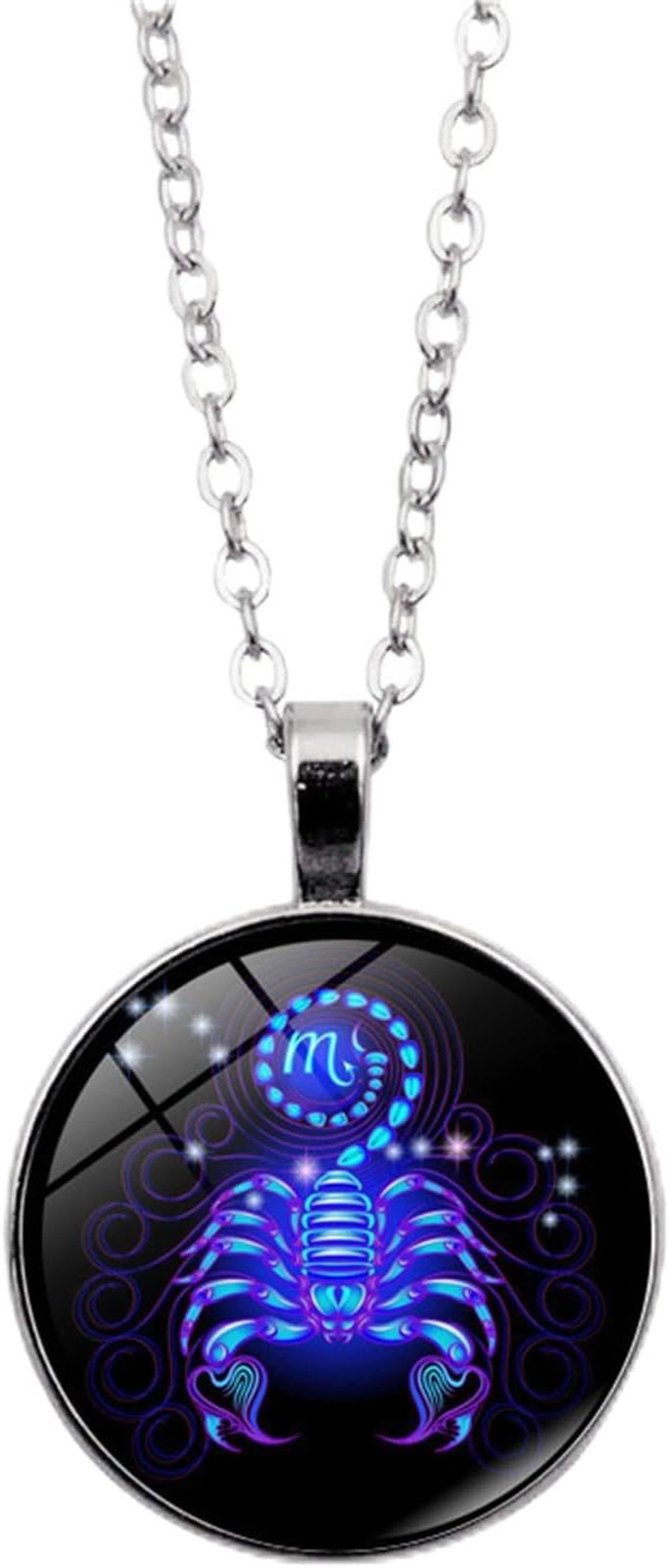 Zodiac Necklace Stainless Steel Ball Chain Astrology Pendant Sign Gift Jewelry