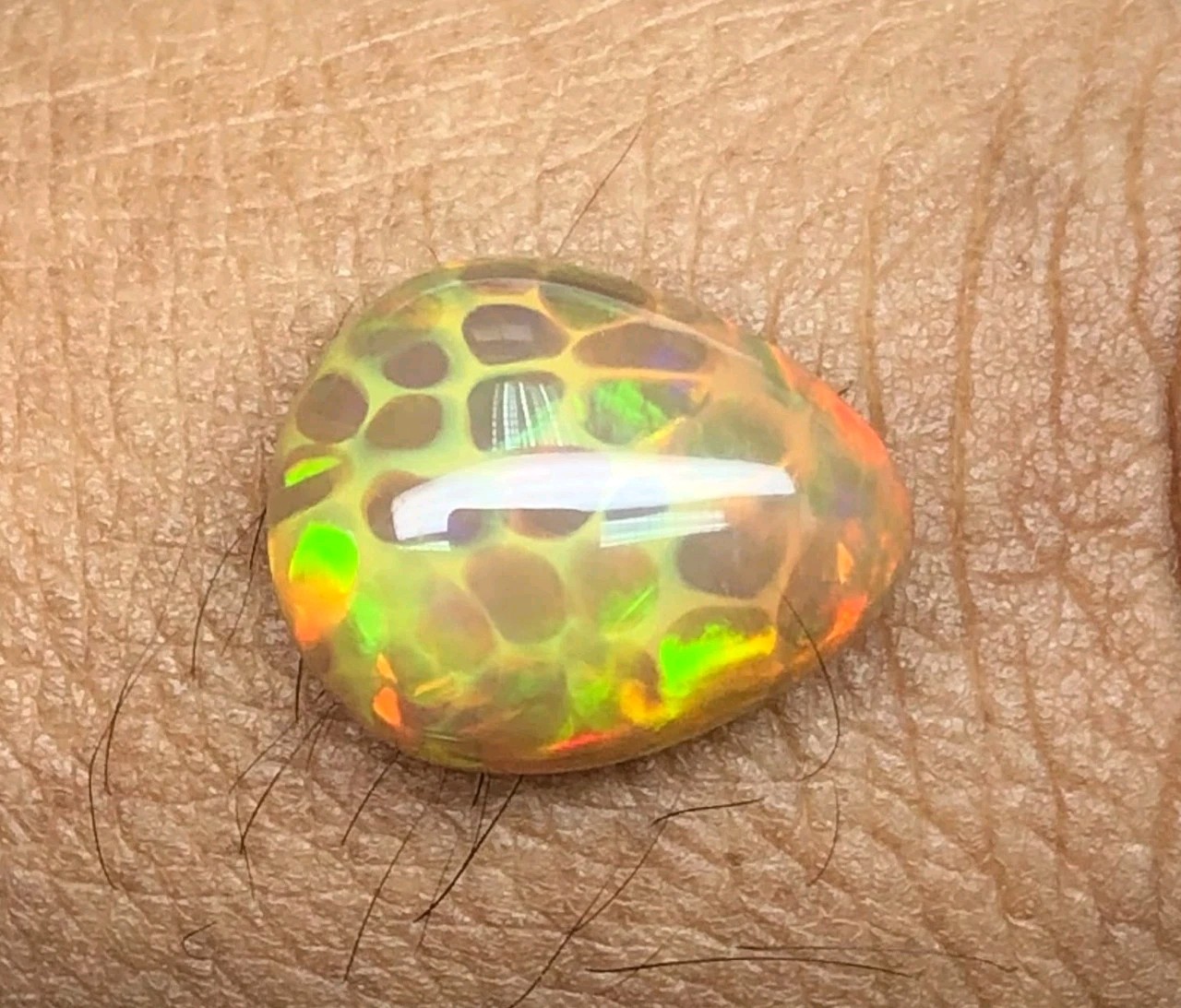 Rare Shewa Honeycomb Pattern Opal 3.47 ct loose gemstones 002