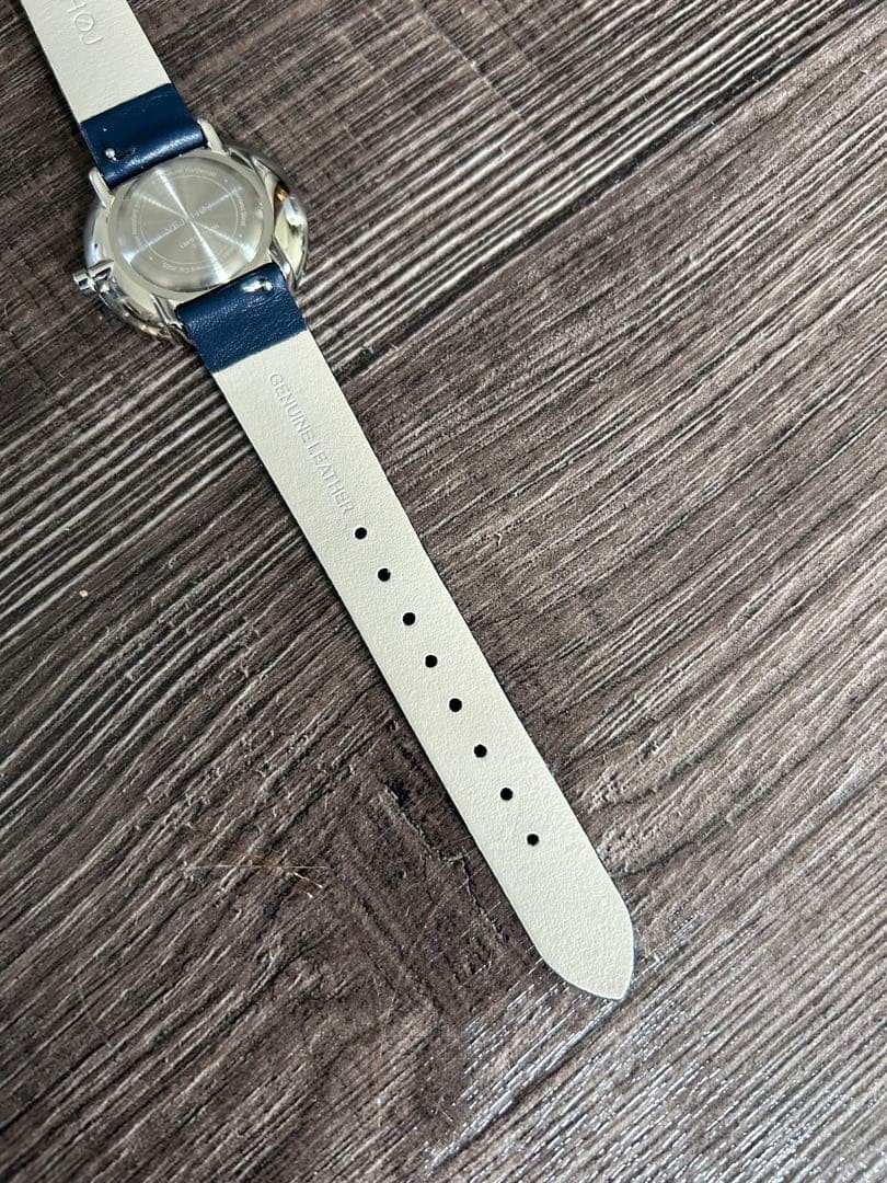 Veerhoy Petite Oasis Blue 100 Limited Watch 34mm Japan