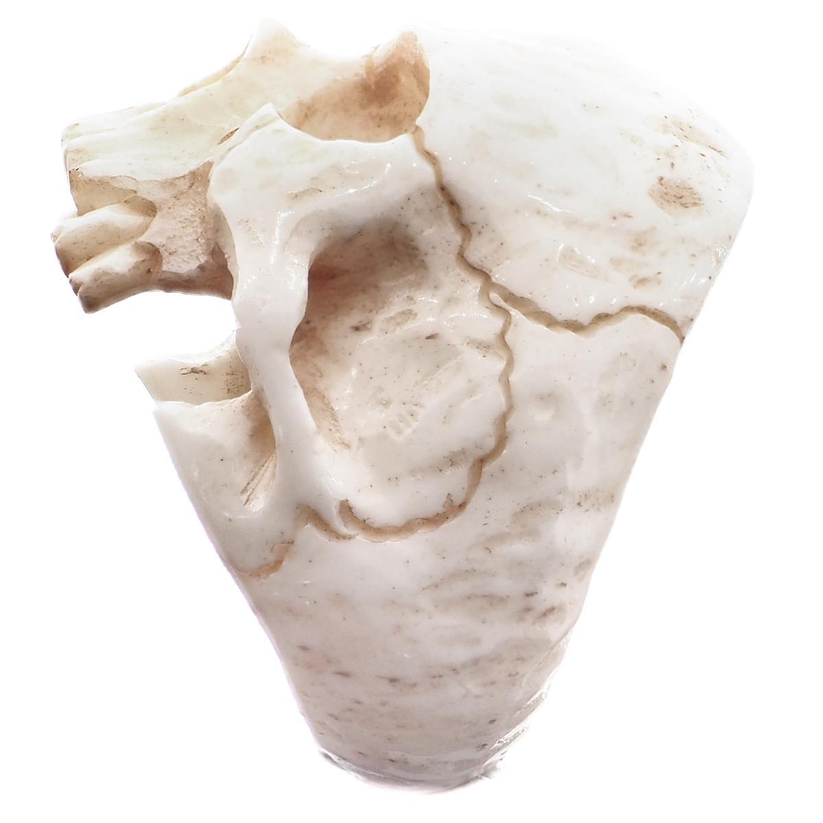 1″ Mens Biker Jawless Skull Hand Carving Antique Stained Bison Bone Ring