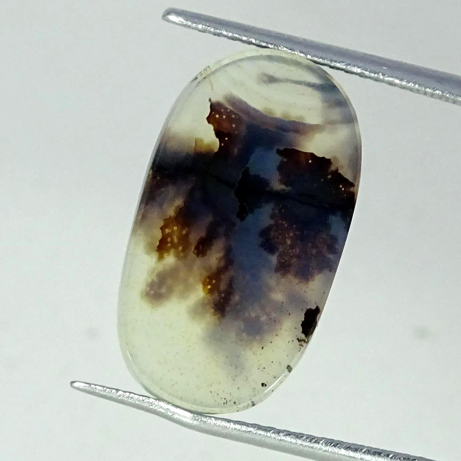 6.90Cts AA+ Natural Shazar Dendritic Agate Oval Cabochon 11X20X3MM