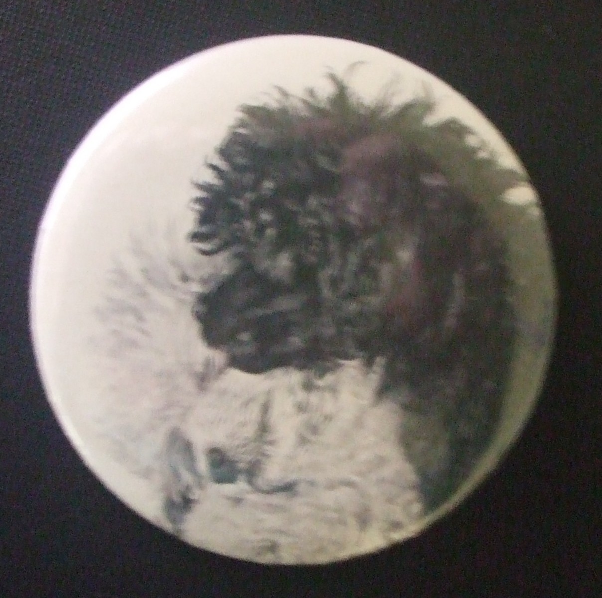 Misc dog breed Pinback Buttons – 2″ inch
