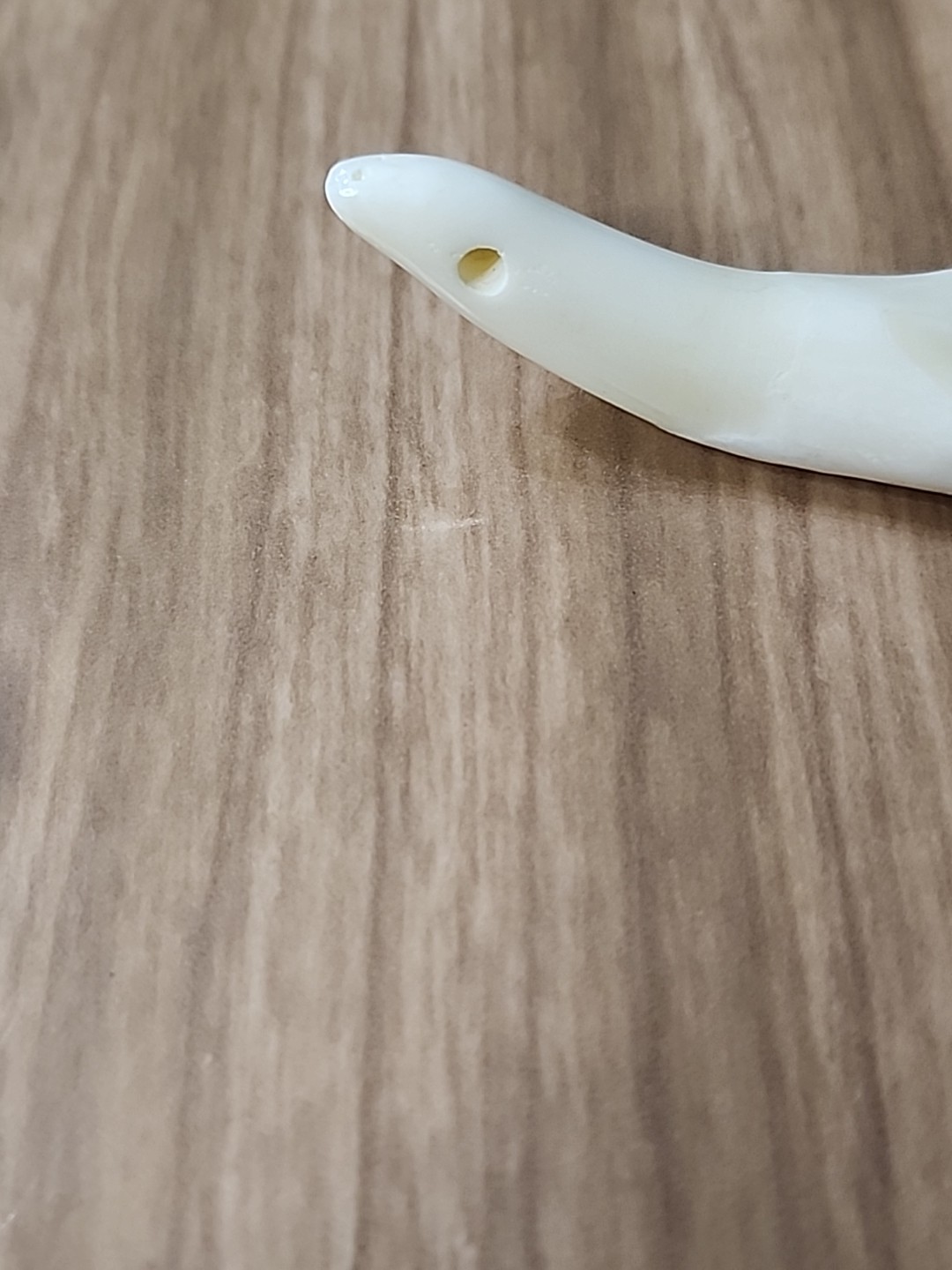 Pair of Genuine Buffalo Teeth Drilled Holes For Jewelry Approximatly 2 Inches