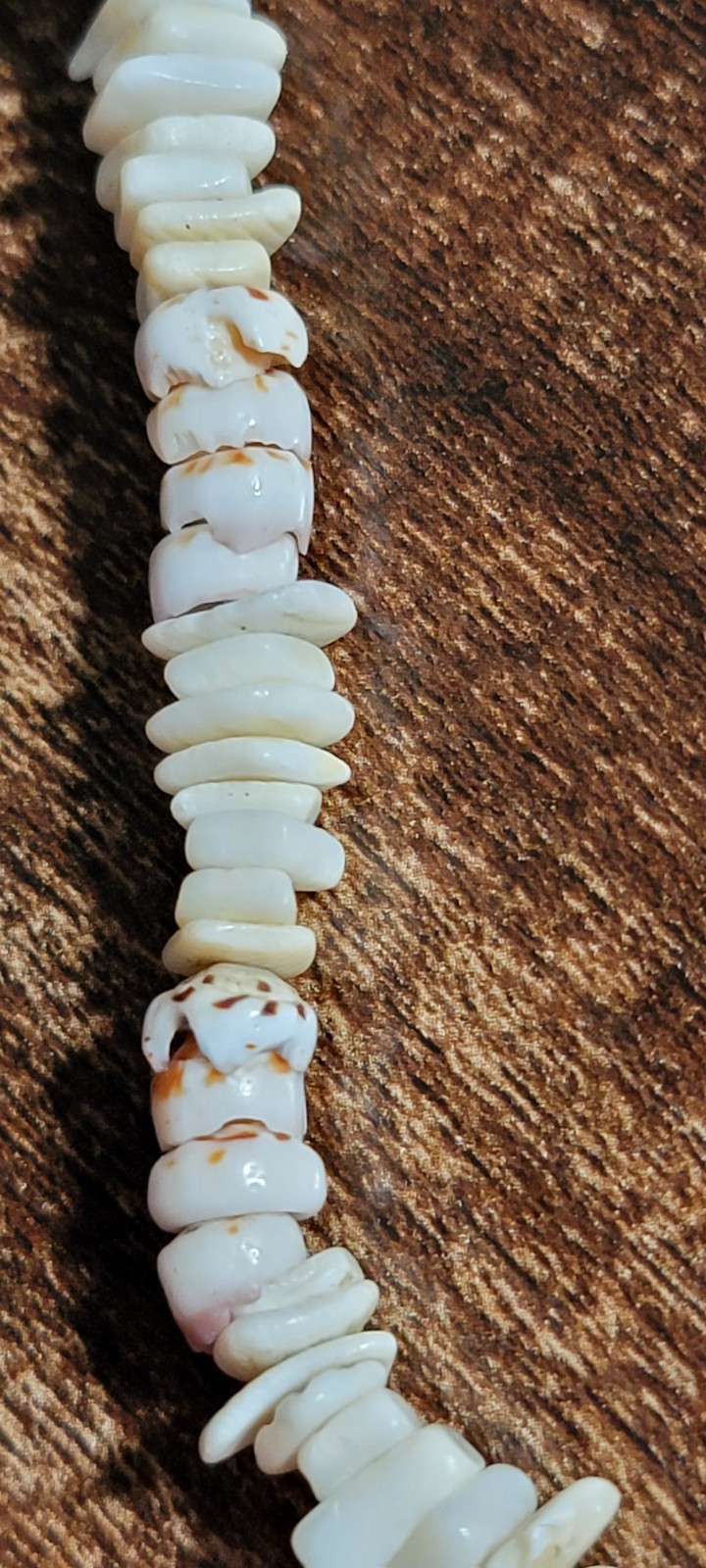 Vintage Genuine Hawaiian Tiger Puka Shell Lei Surfer Choker Necklace 16 in 40G!!