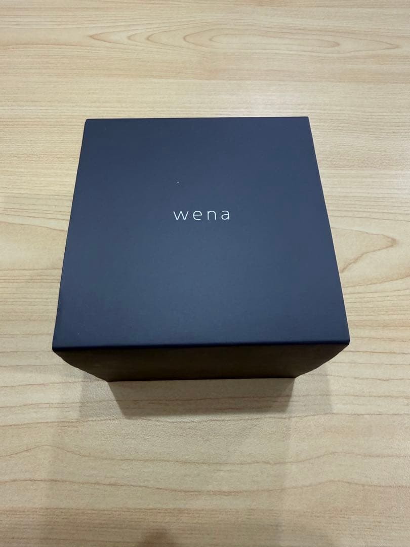 Sony Wena Beams Quartz Watch Silver Dial Black Band 目立たない傷中古