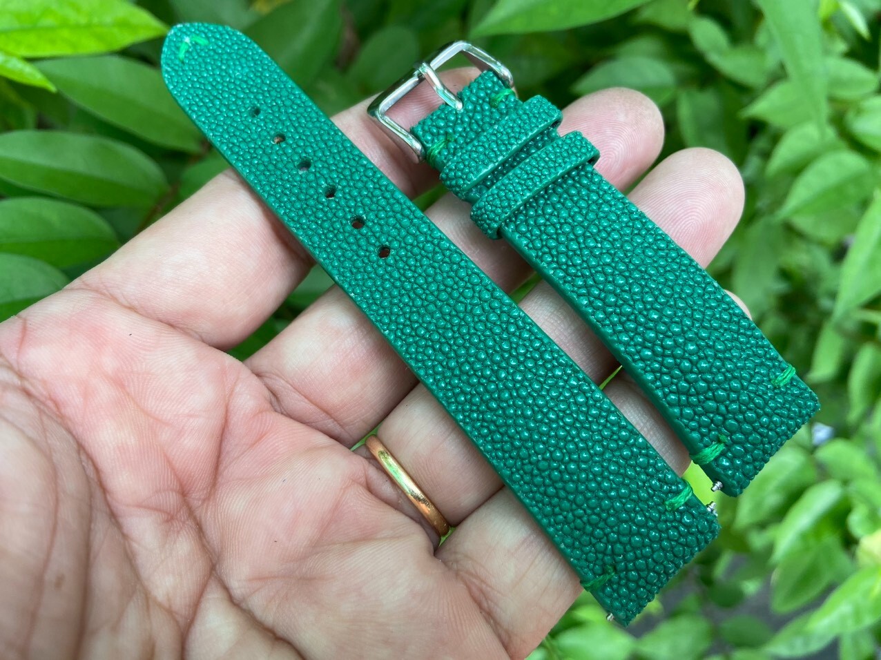Green Stingray Watch Strap Band 14mm 16mm 18mm 19mm 20mm 21mm 22mm 24mm 26mm