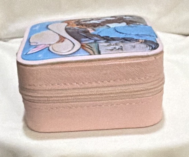 Pink Faux Leather Zipper Jewelry Box w/ Mirror, Velvet Lined, Cowgirl Western