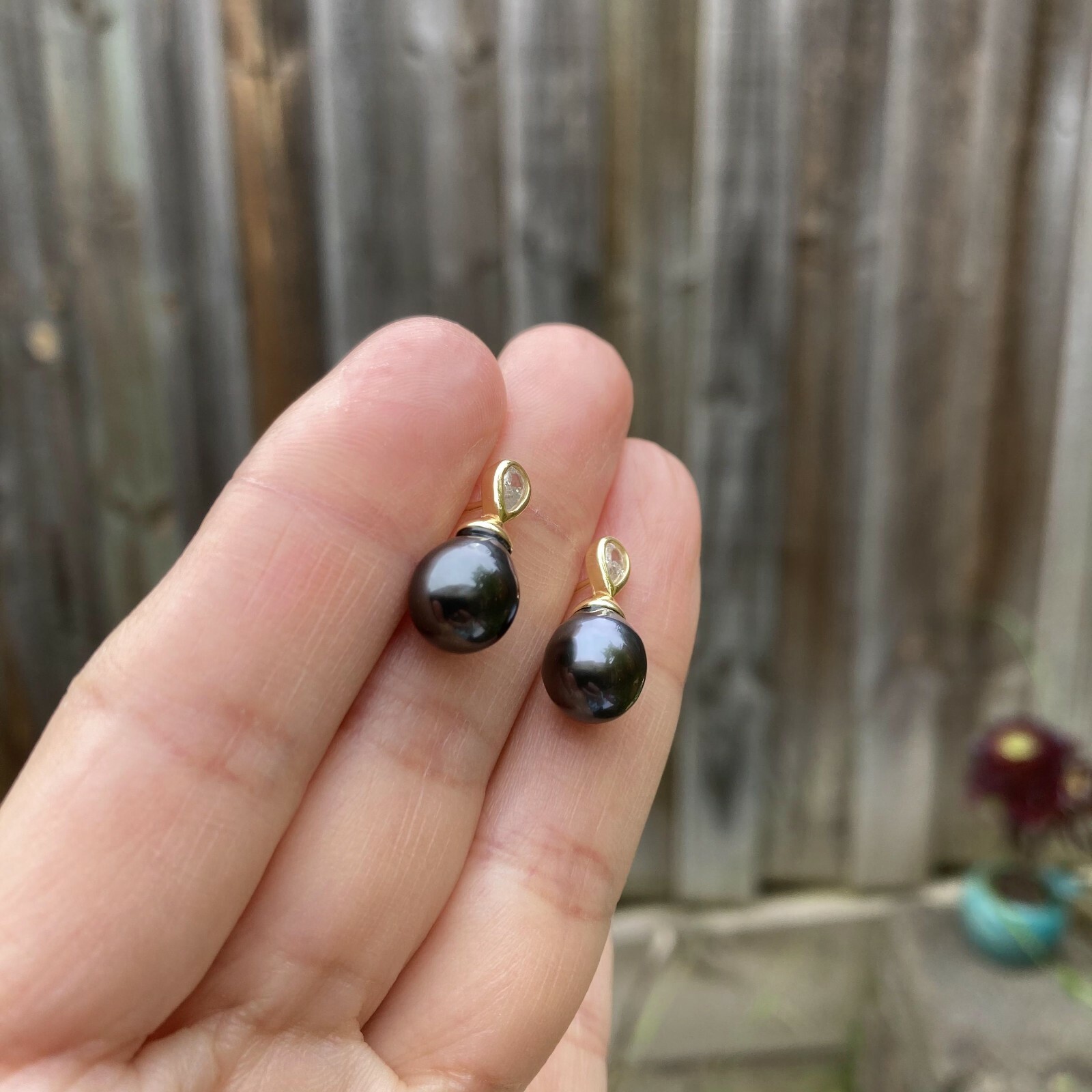 High luster Black Tahitian Pearl sterling Silver S925 Gold Earring stud TH185
