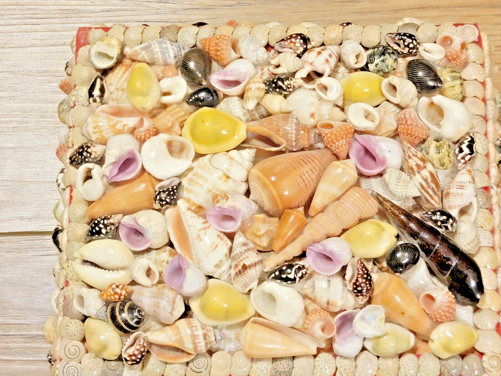 Retro Seashell Jewelry Box Fully Lined 7″X6″X2.5″ Beautiful Condition