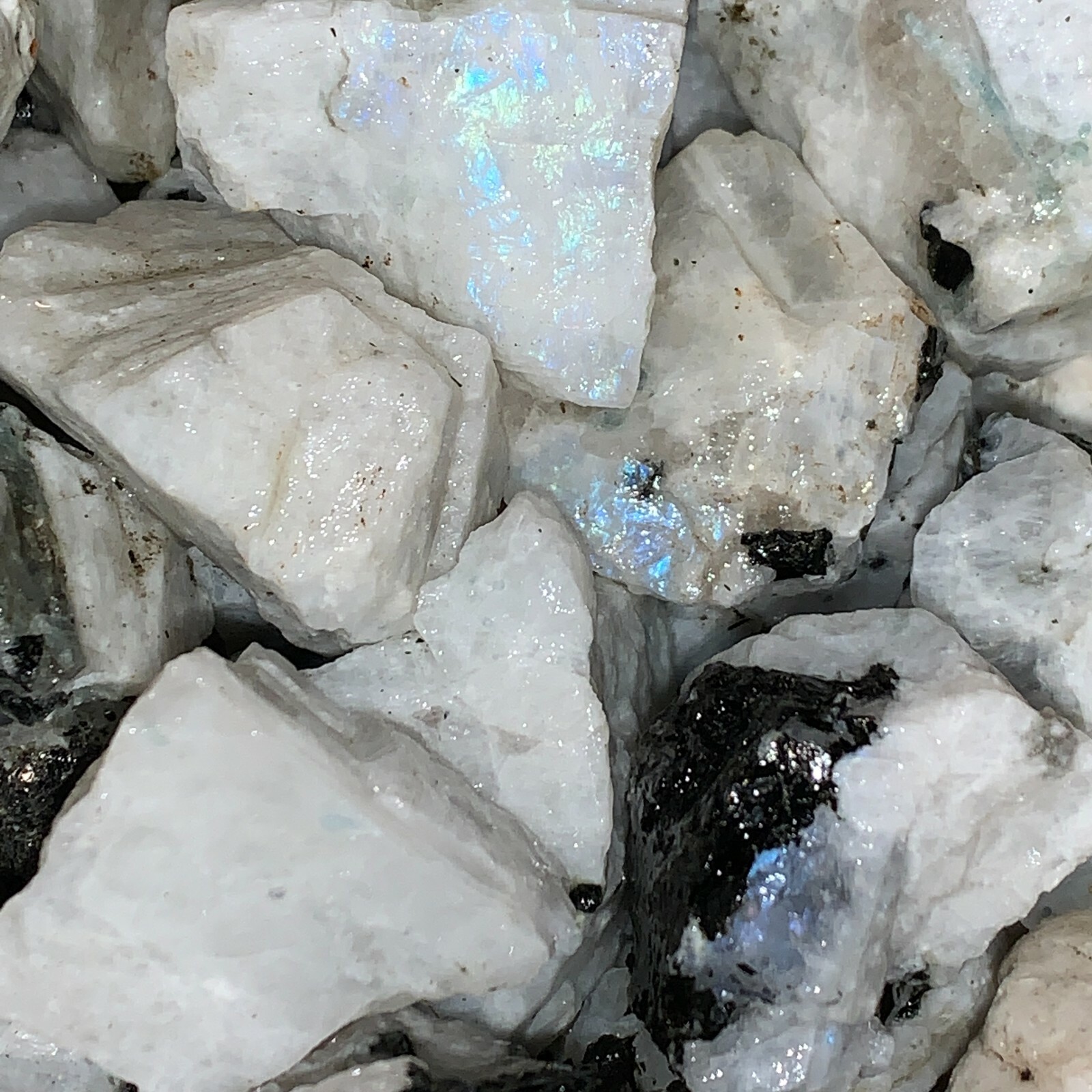 1000 Carat Lots of Natural Rainbow Moonstone Rough + a Nice FREE faceted Gems