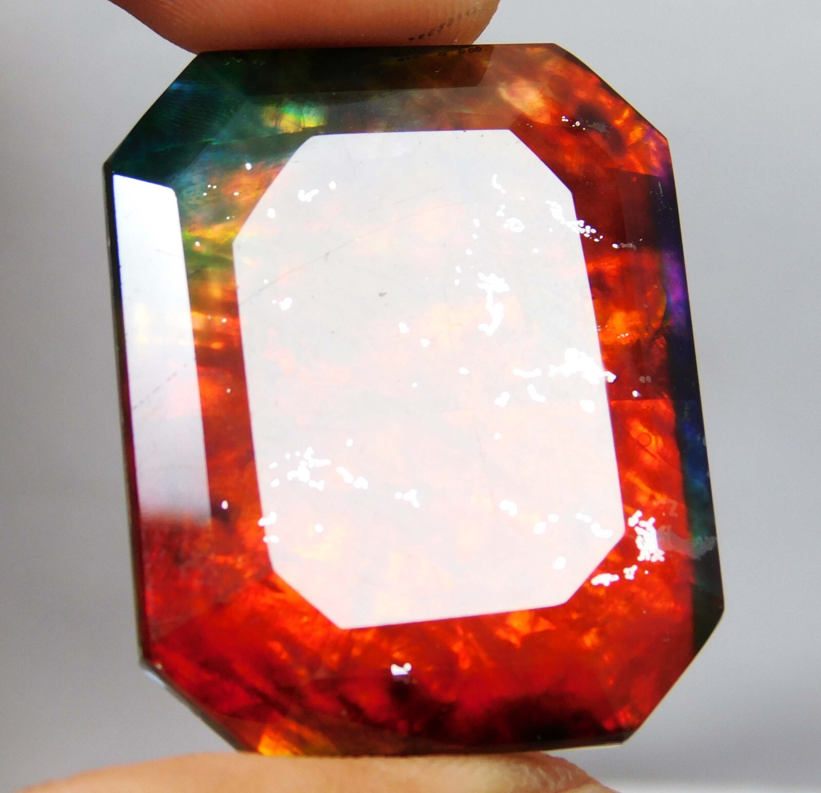 53.00 Ct Natural Ammolite Emerald Opal -Like Organic Doublet Rare Loose Gems