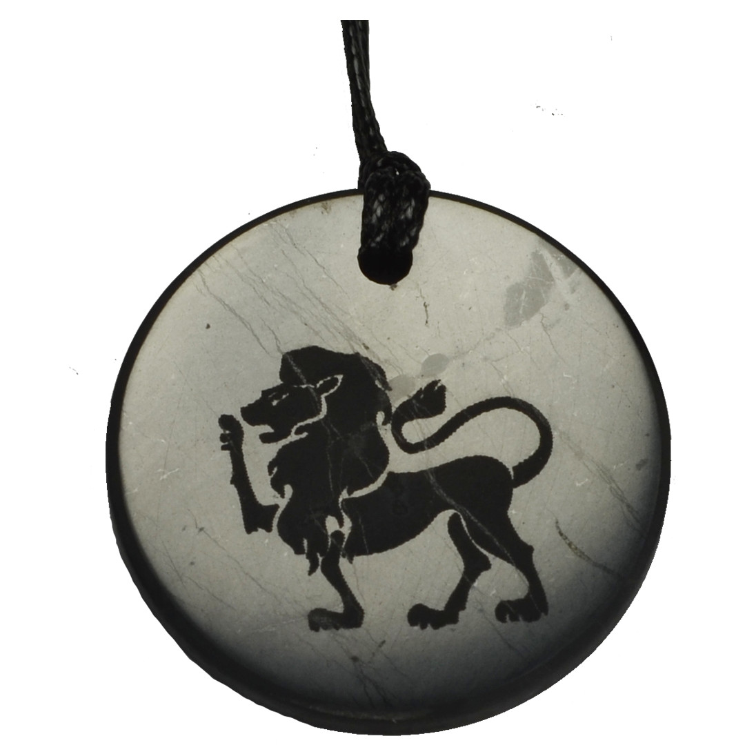 Shungite Emf Protection Necklace EMF Jewelry Pendant Zodiac Leo Image