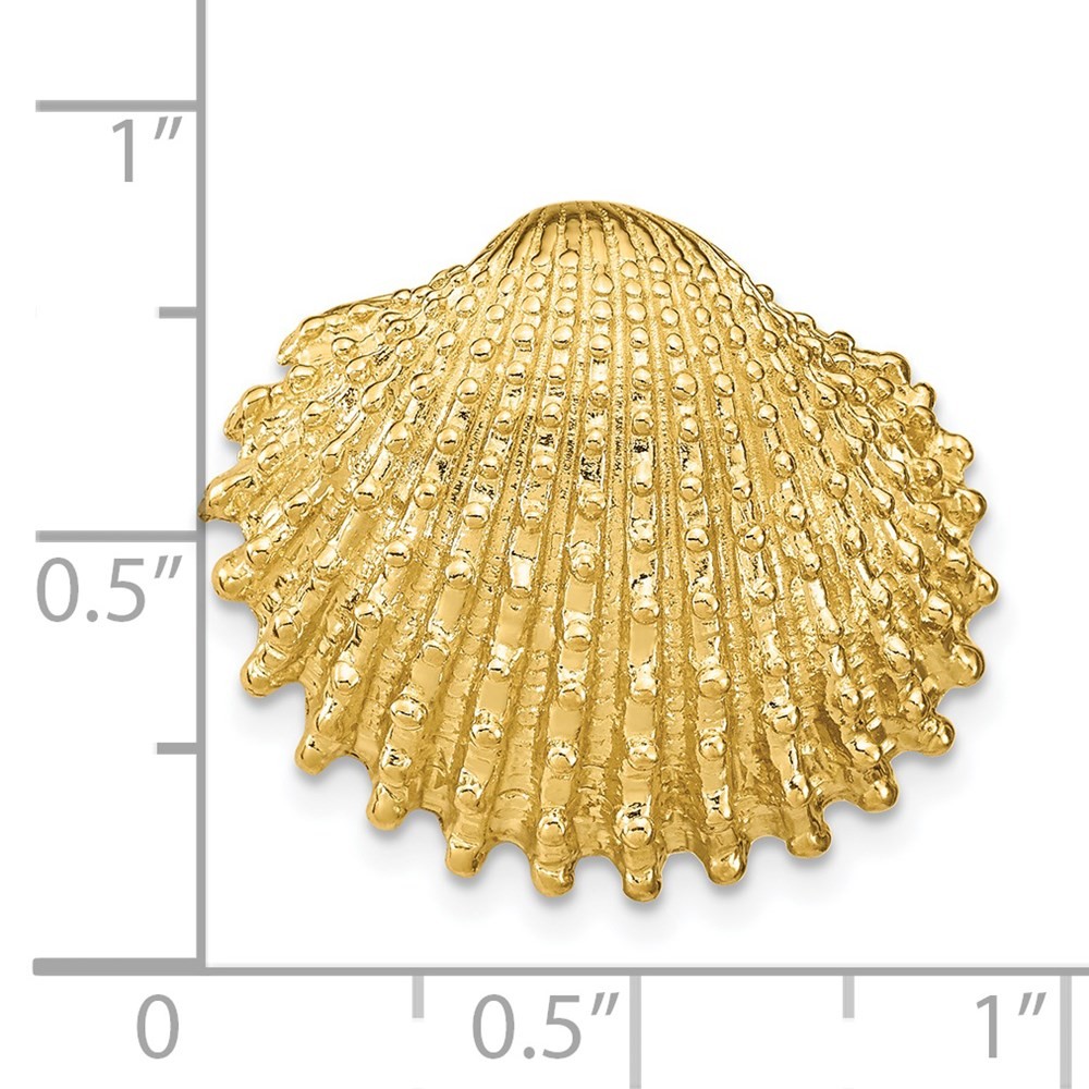 14k Yellow Gold Scallop Shell Slide Pendant for Women 7.83g