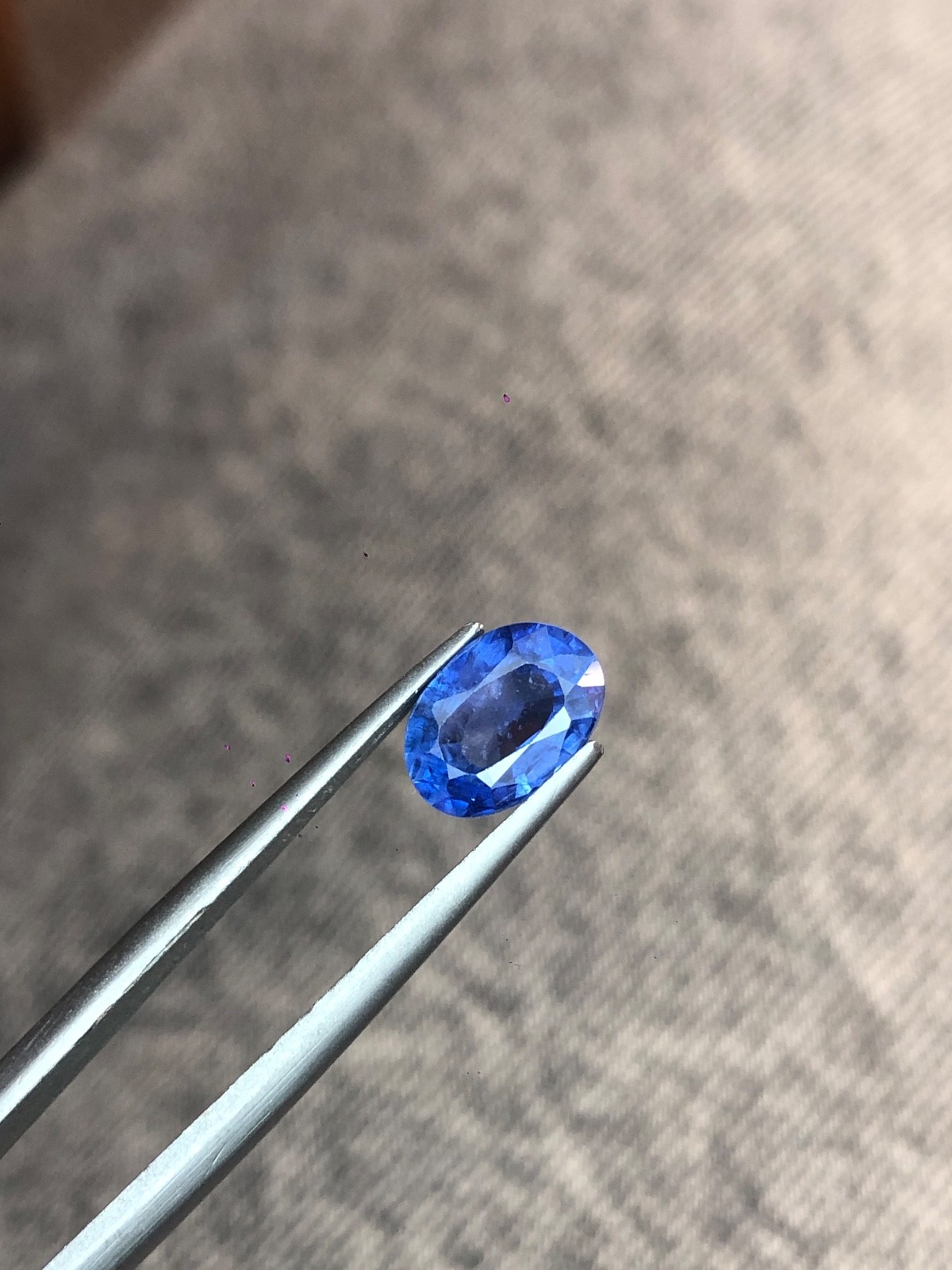 2.35 ct beautiful cornflower blue ceylon sapphire normal heat