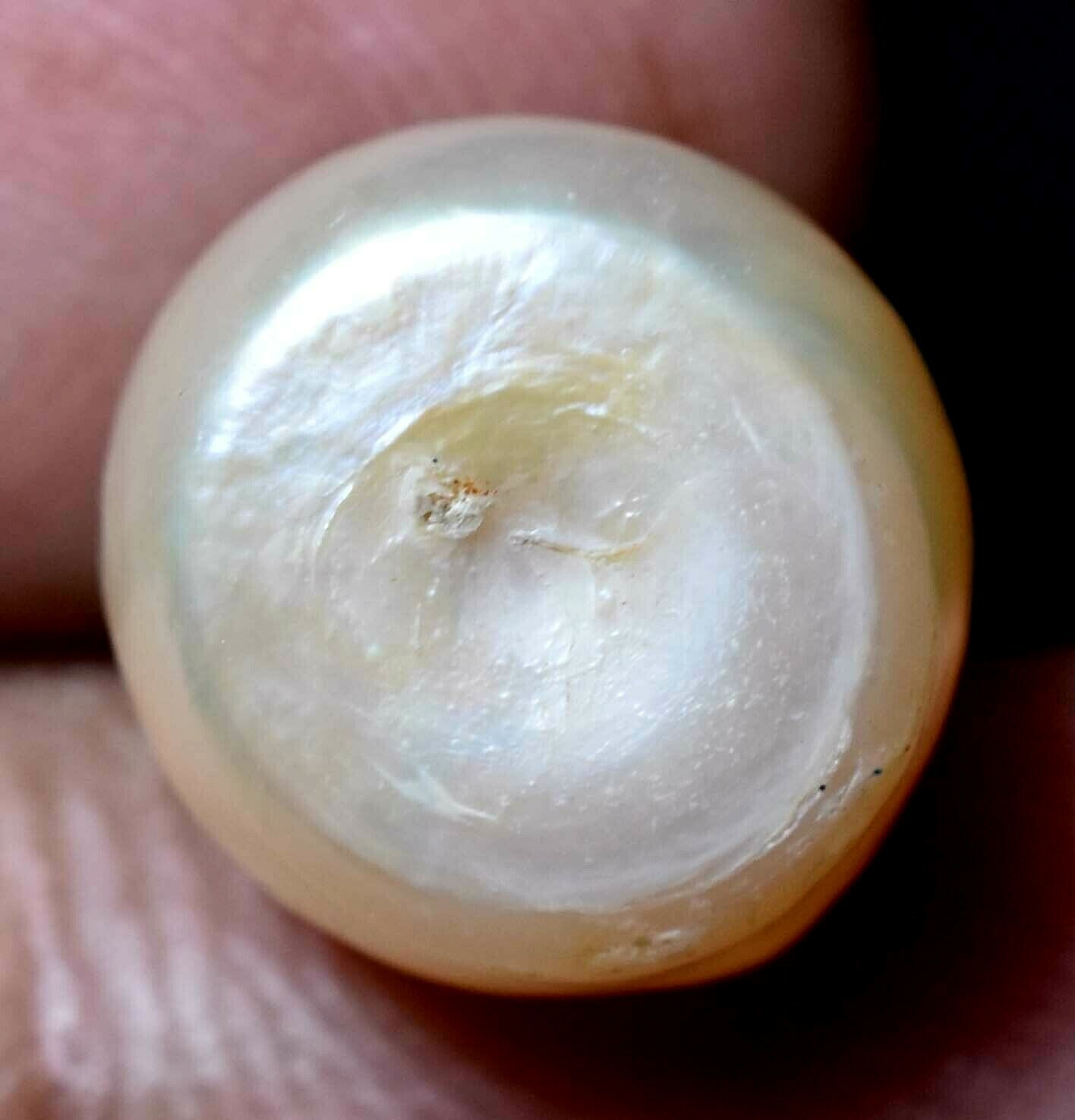 Natural Australian South Sea White Pearl 8.20 CT Certified Untreated Gemstone