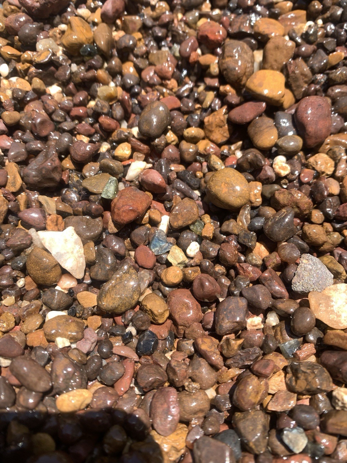 SAPPHIRE WASH CONCENTRATE RUBYVALE QUEENSLAND GEM FIELDS 300 GRAM BAGS SWC001