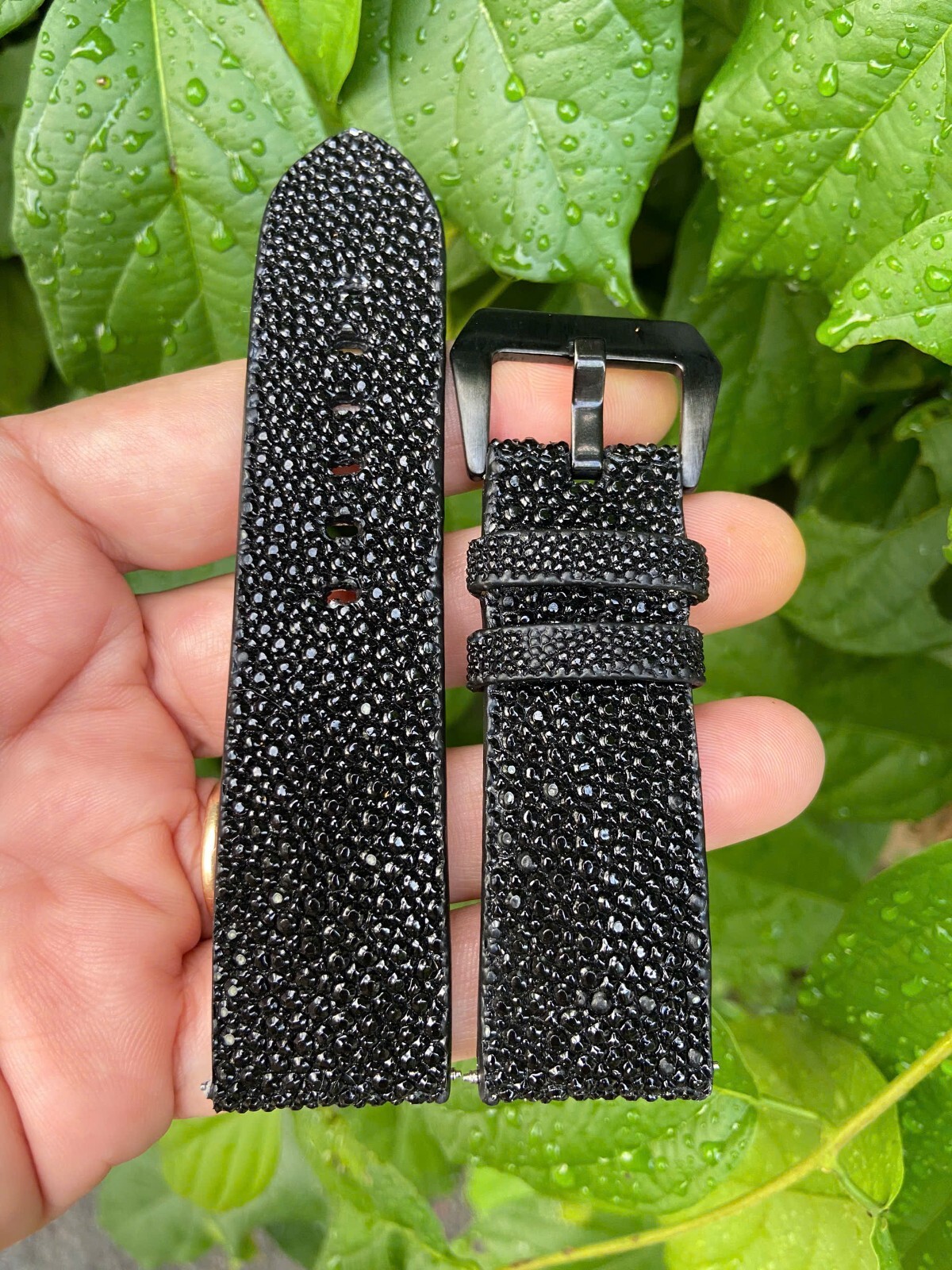 Black Stingray Leather skin Watch Strap Band 12 14 18 19 20 21 22mm 23 24mm 26mm