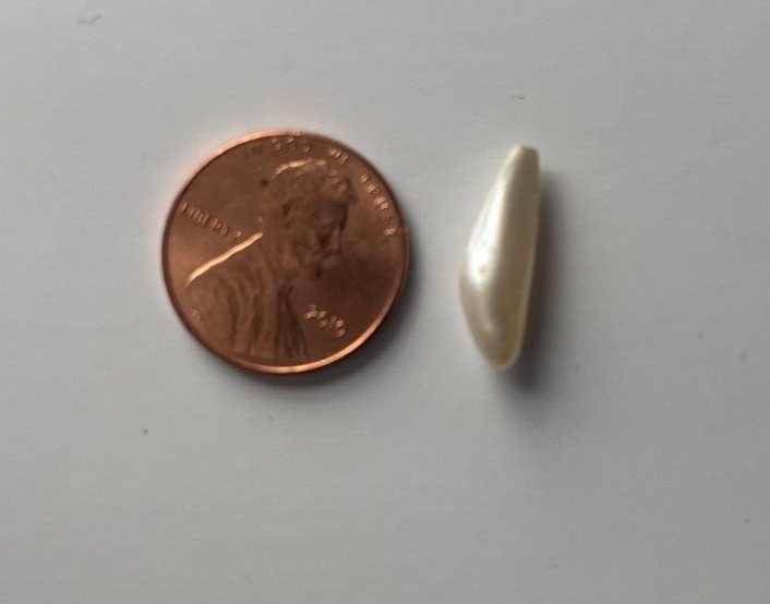 ONE 2.80 CTS RARE VINTAGE WHITE SPIKE NATURAL MISSISSIPPI RIVER UNCULTURED PEARL