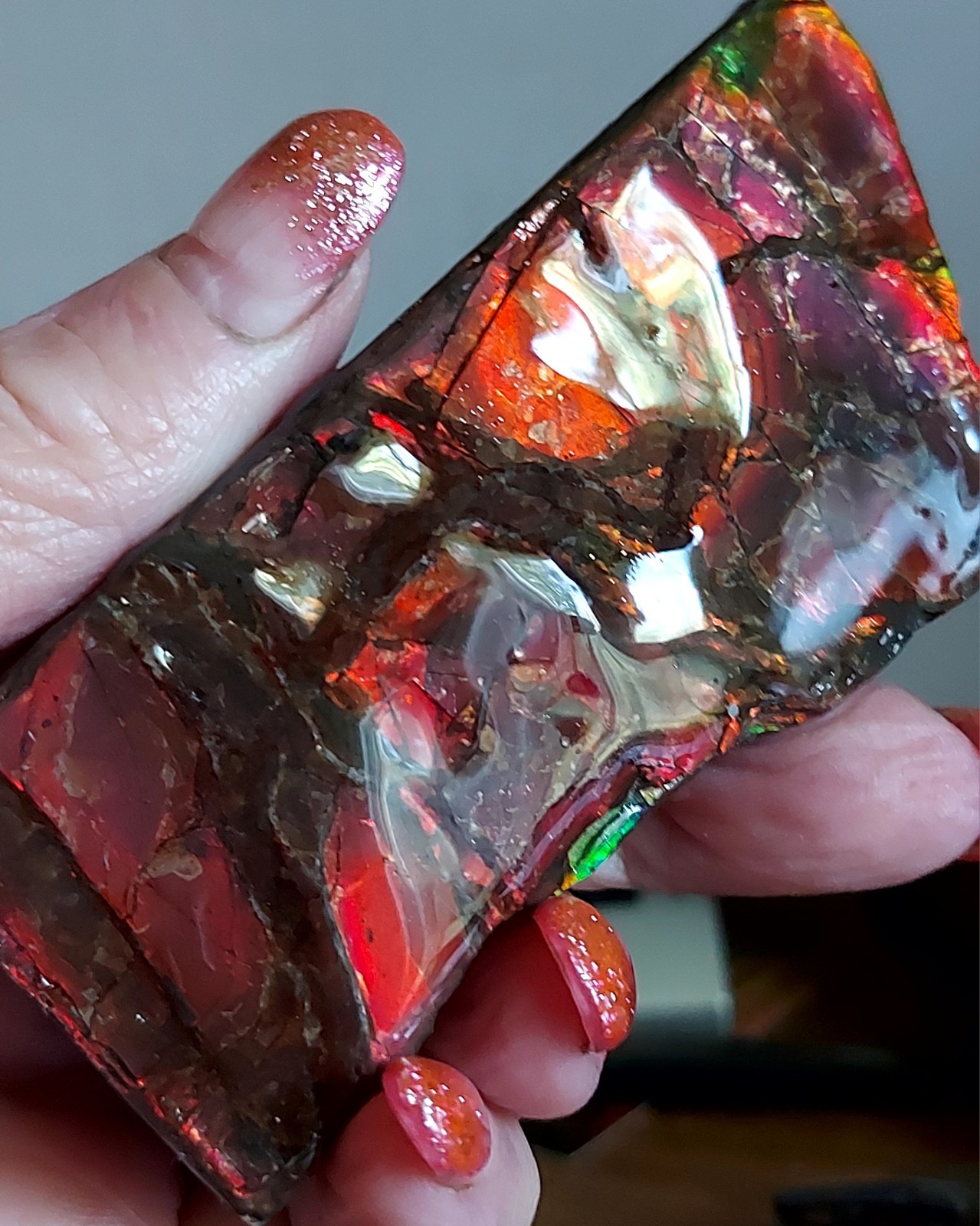 Ammolite Ammonite tabletop Display Color Changer Piece 99.845×12.3mm 5757